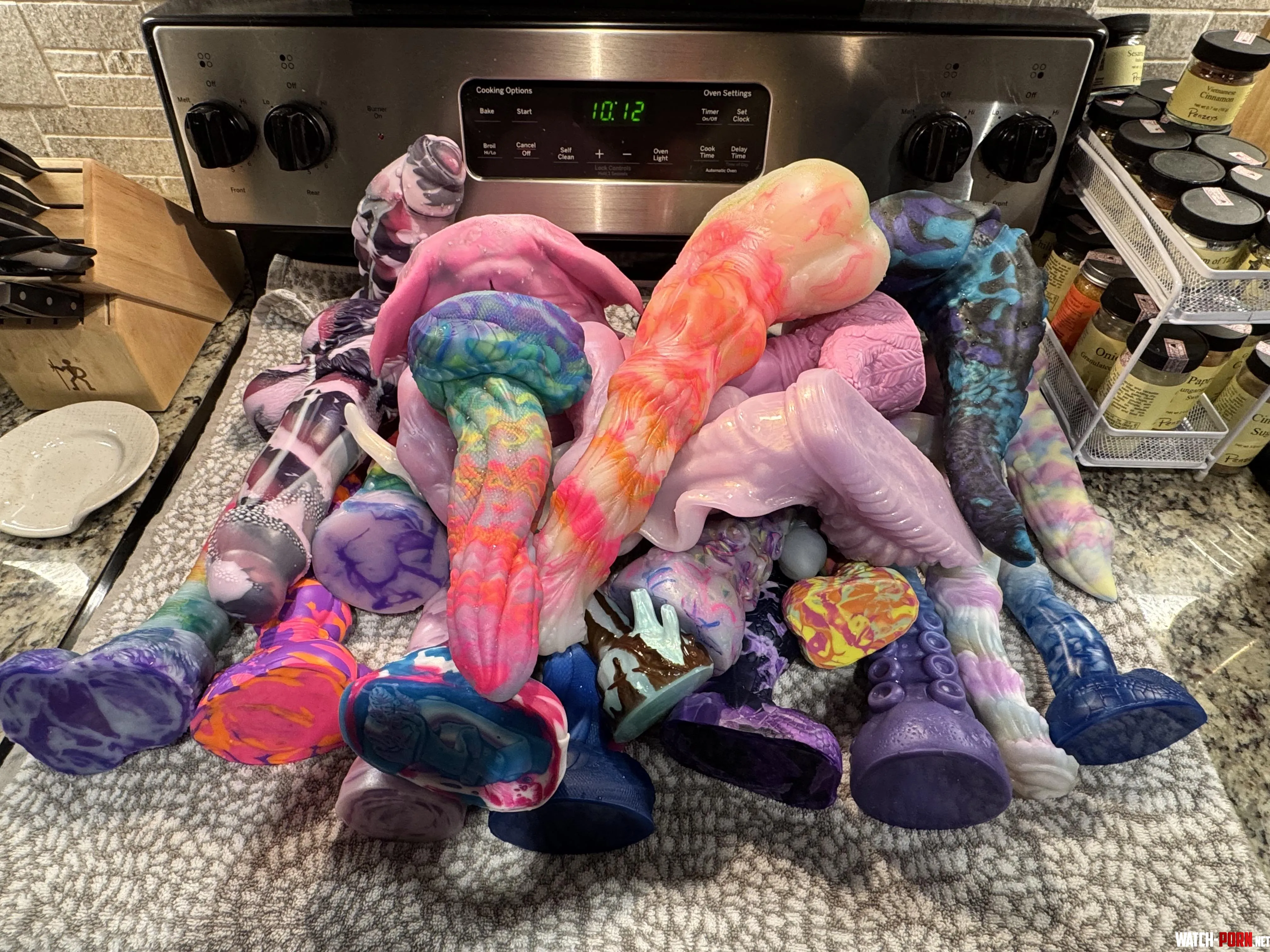 finally got around to giving these ladies and gentlemen a bath 😅 by EnvironmentalCats