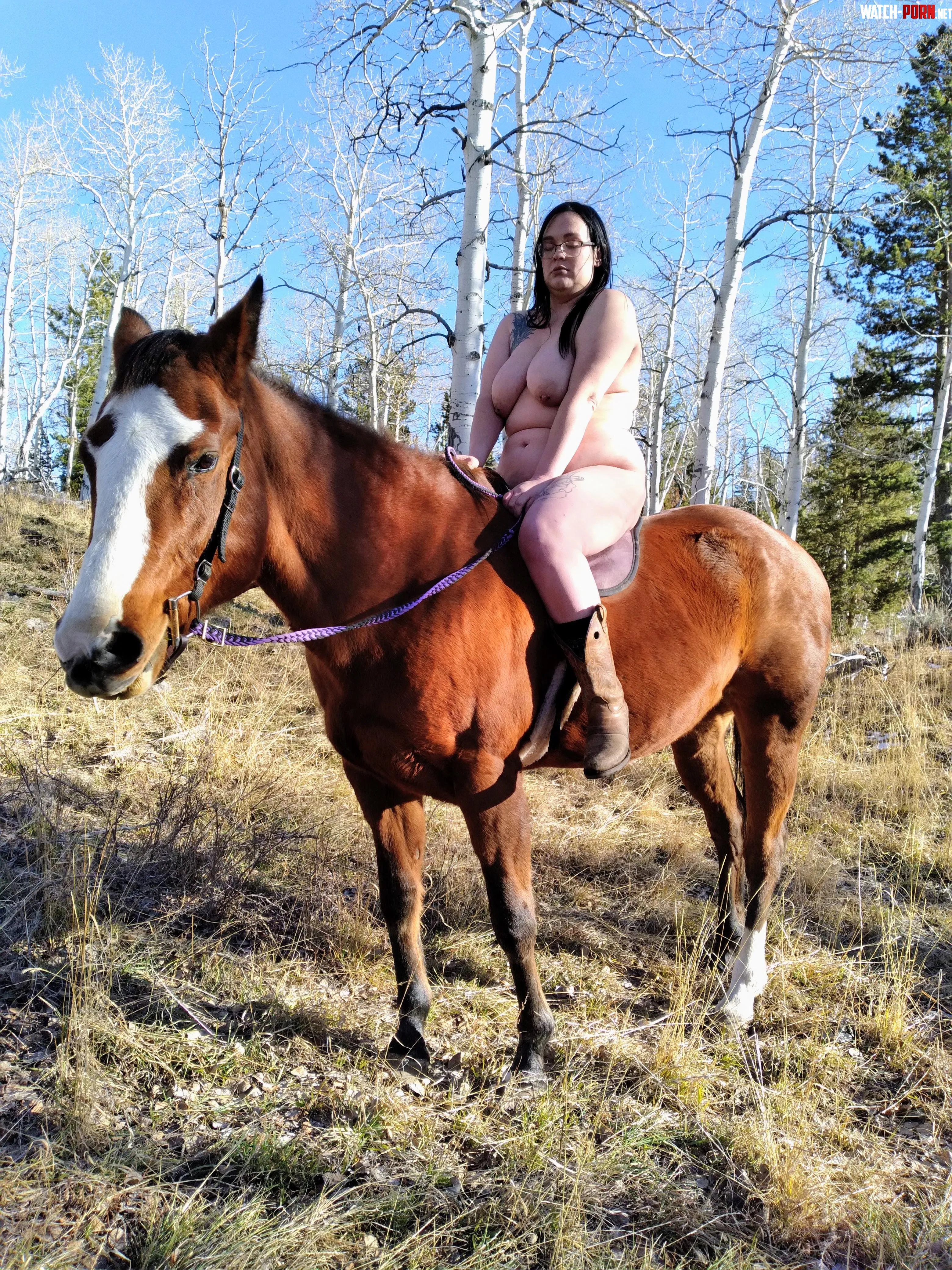 My beautiful Weaver by Mundane-Value-7383