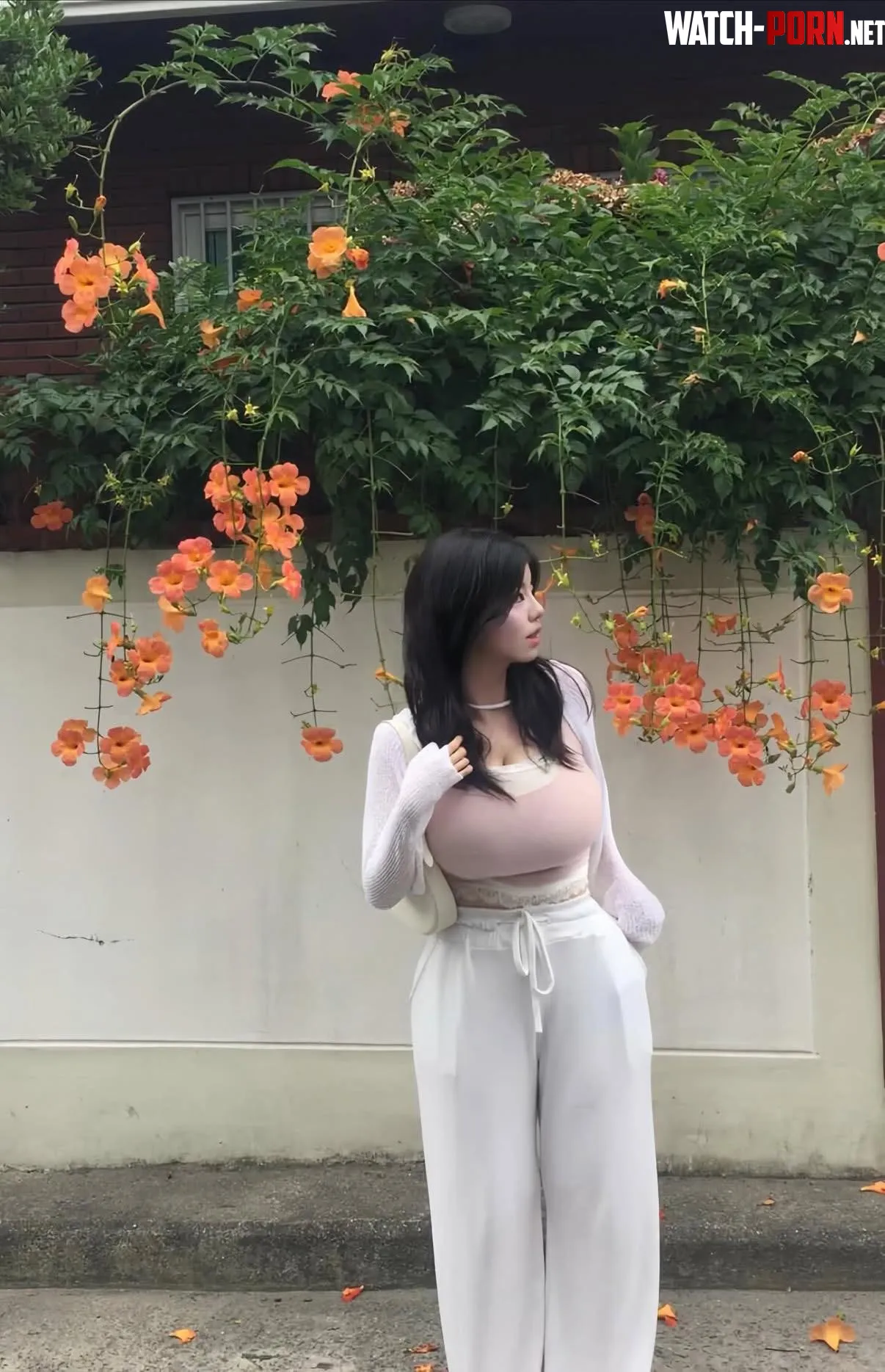 Huge Asian bust by playanesee