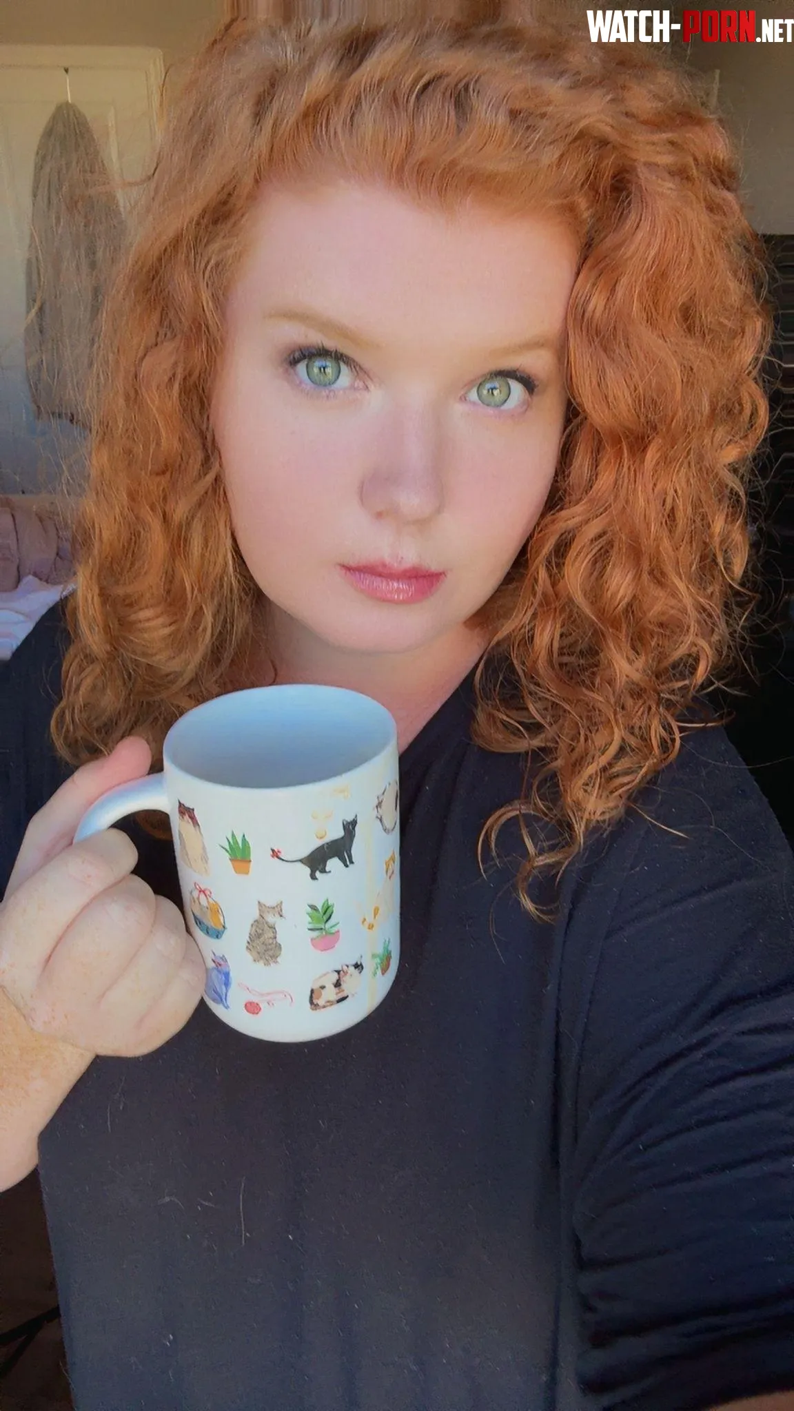 Ginger tease, slow and steady. by daphyduck91