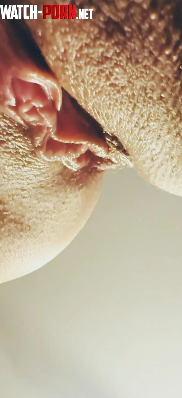 Beauty by Sad_Affect_4883