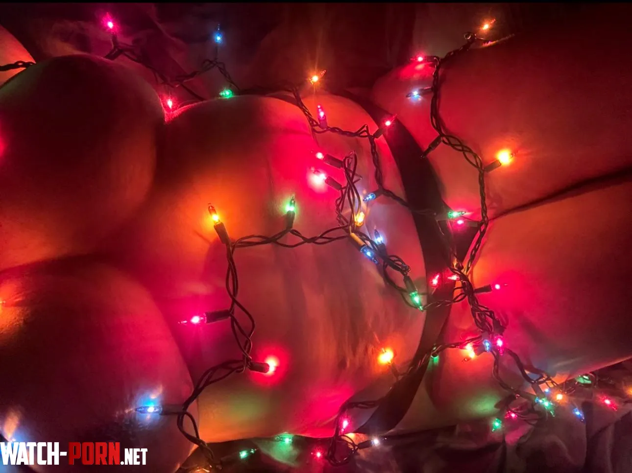 My favorite color is Christmas Lights by your_gonna_loveme