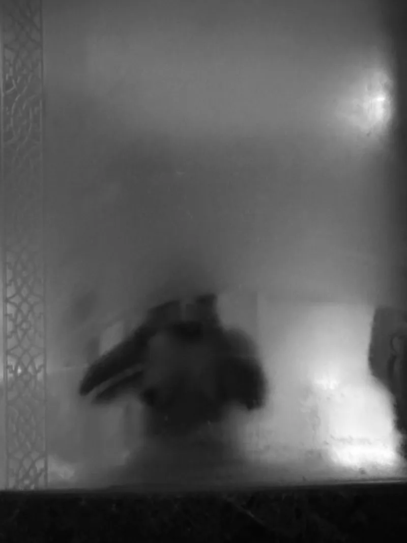 Thumbnail Phgonewild Mystery Unveiled: immafoxxlass in Disguise