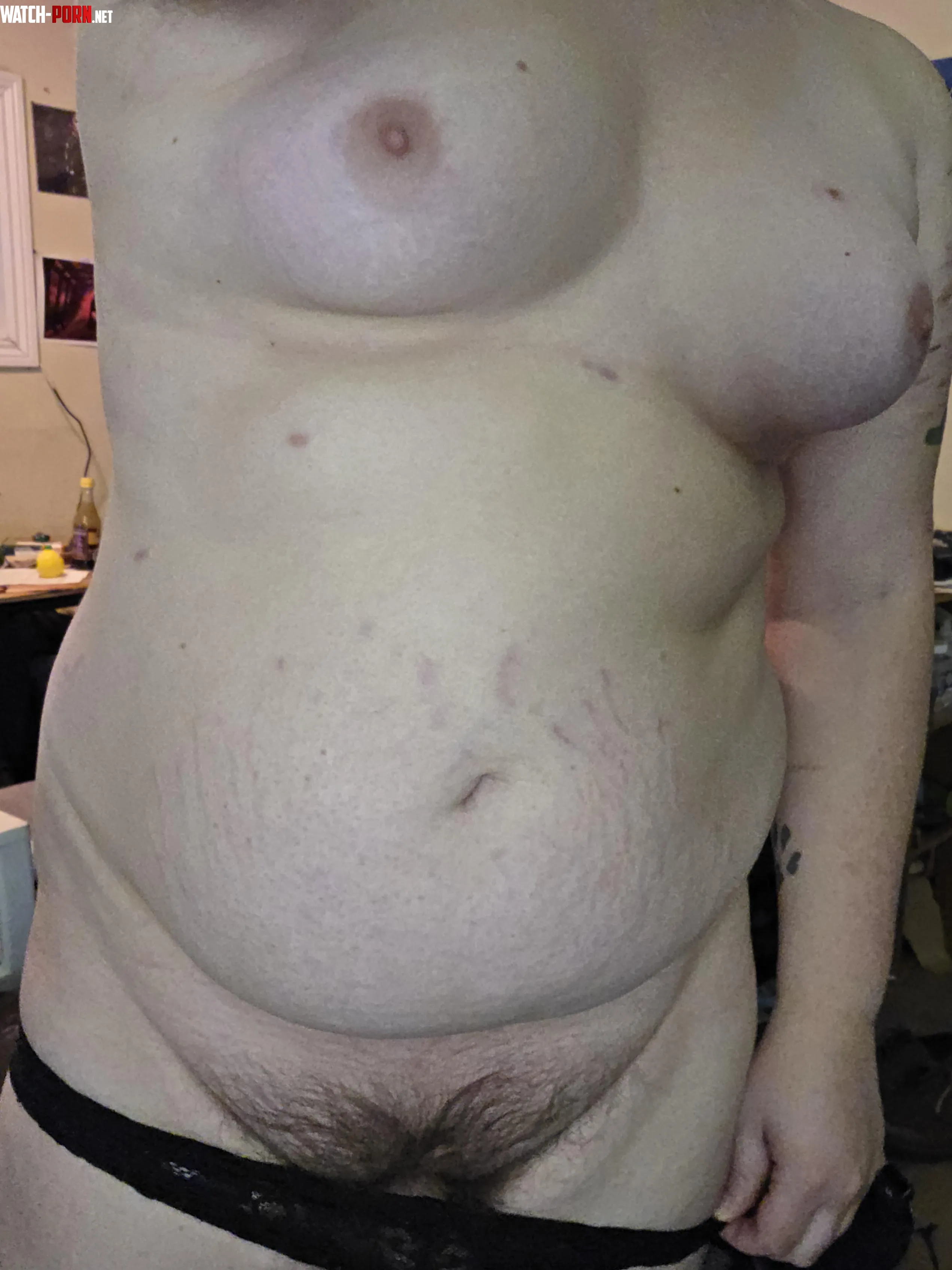 Merry Bush-mas (TransF) by FoxySara13