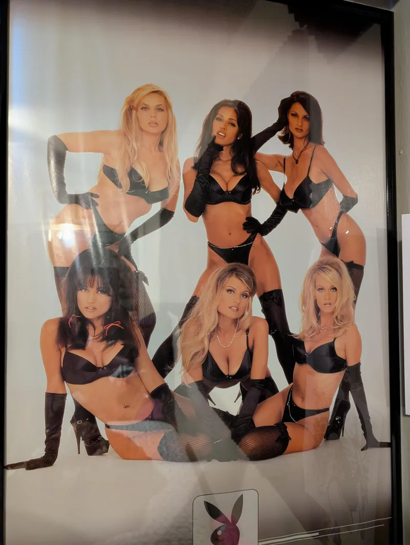 Thumbnail Exploring the 1998 Playboy Vintage Poster with OlgunDubs