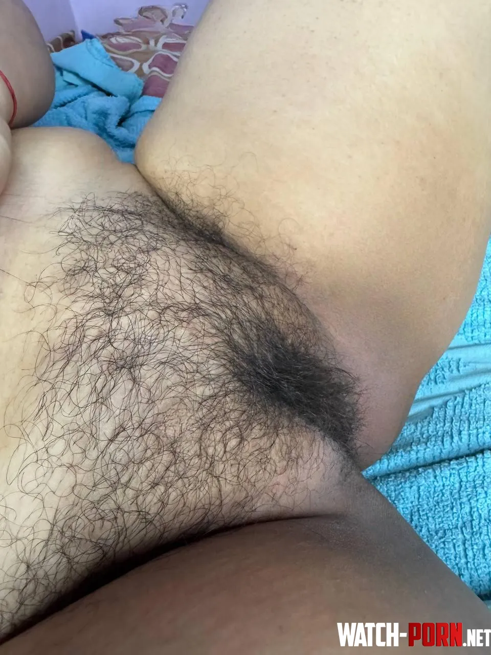 My bush is developing very well. by Jennyfer77709