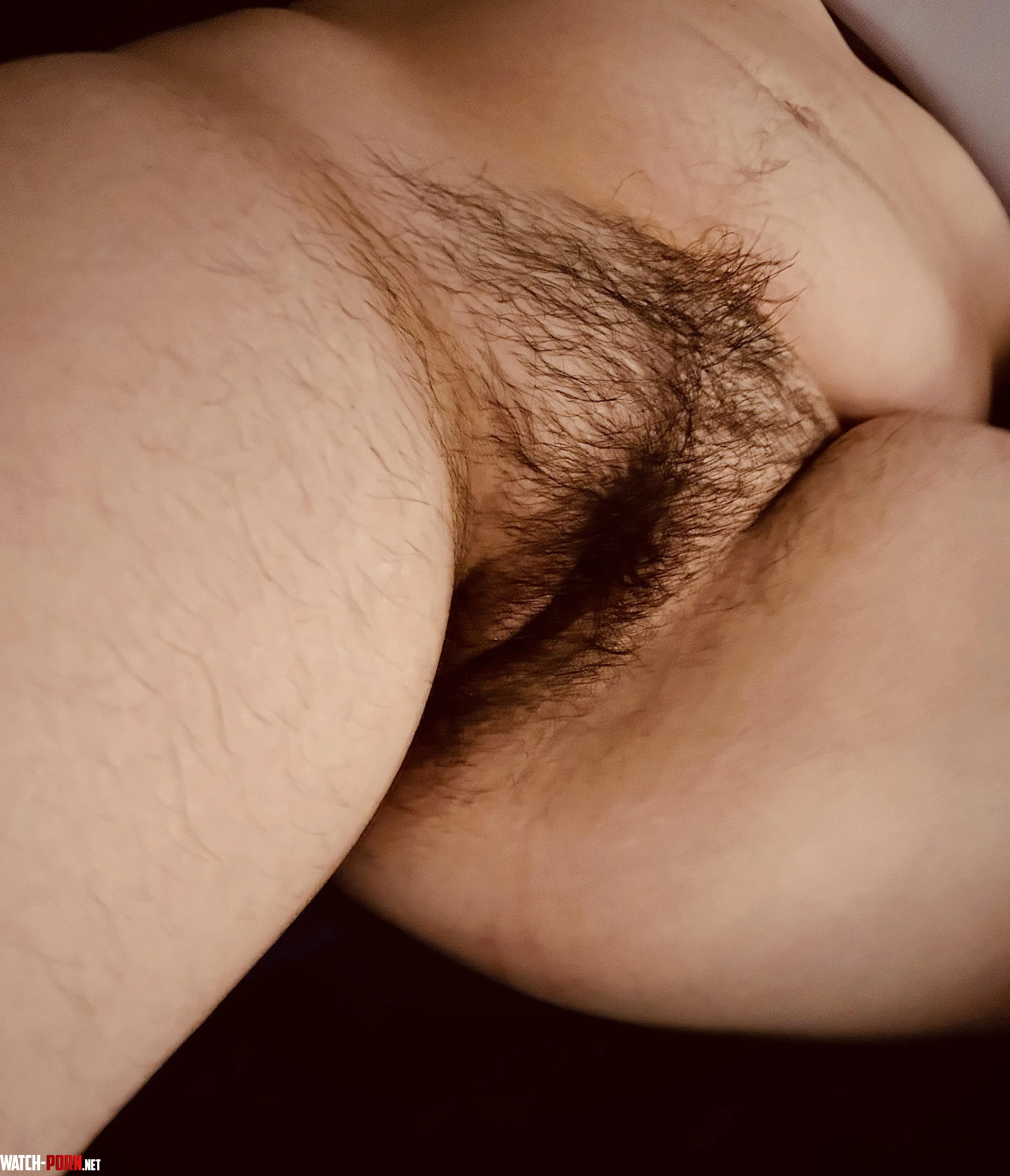 Bush growth update: she’s getting even fuller! by whornybabe