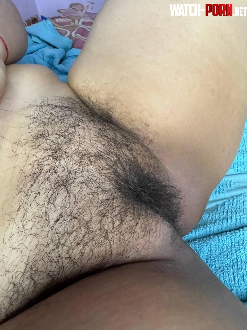 I don't think you don't want to explore this bush, chubby by Jennyfer77709