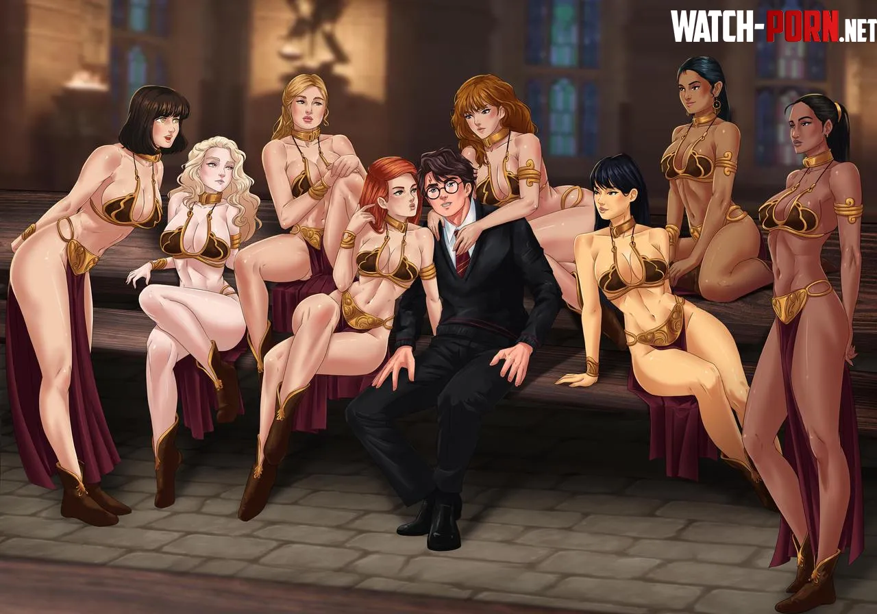 Harry Potter Slavegirls (commissioned by me, art by Amenoosa) by Expert-Ad-2253