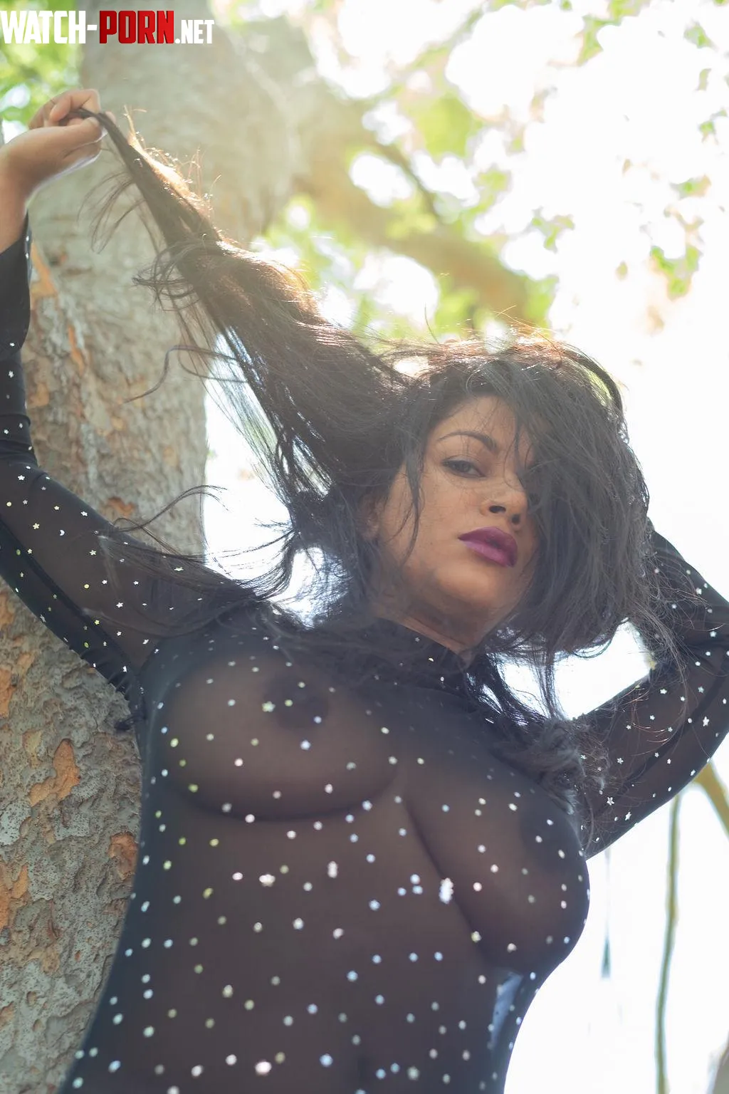 Starry by Ok_Vehicle_3679