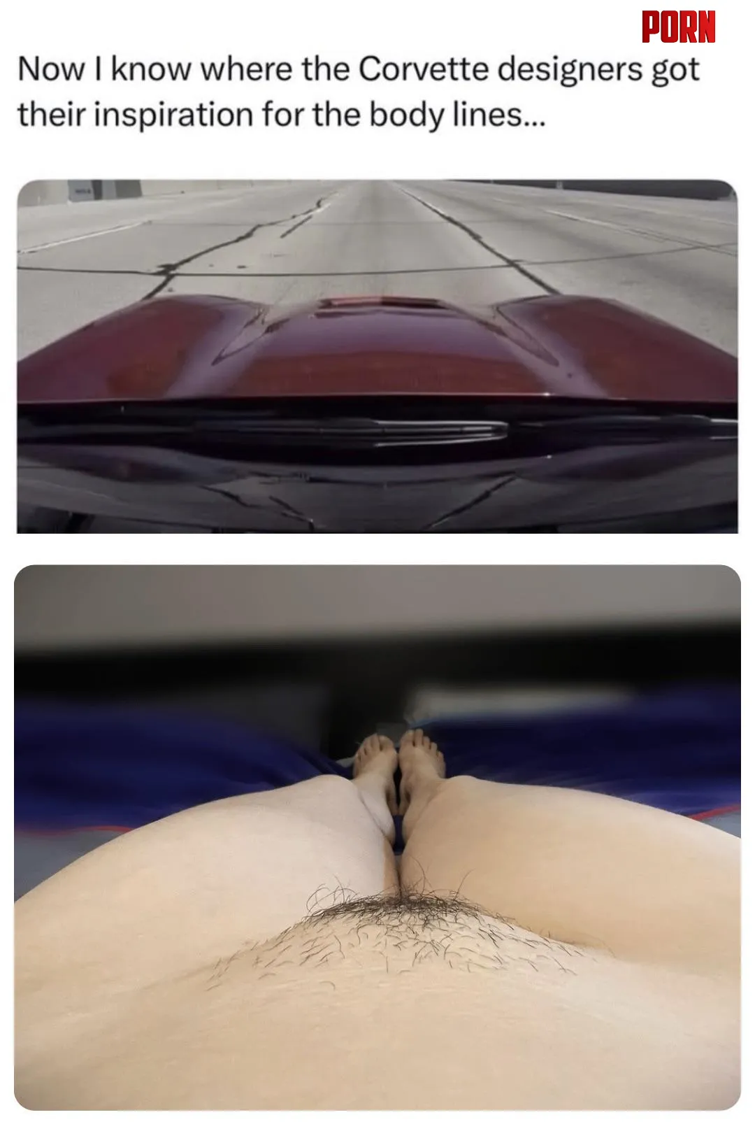 Corvette? Nope. My mound. by JillAnd_Jack