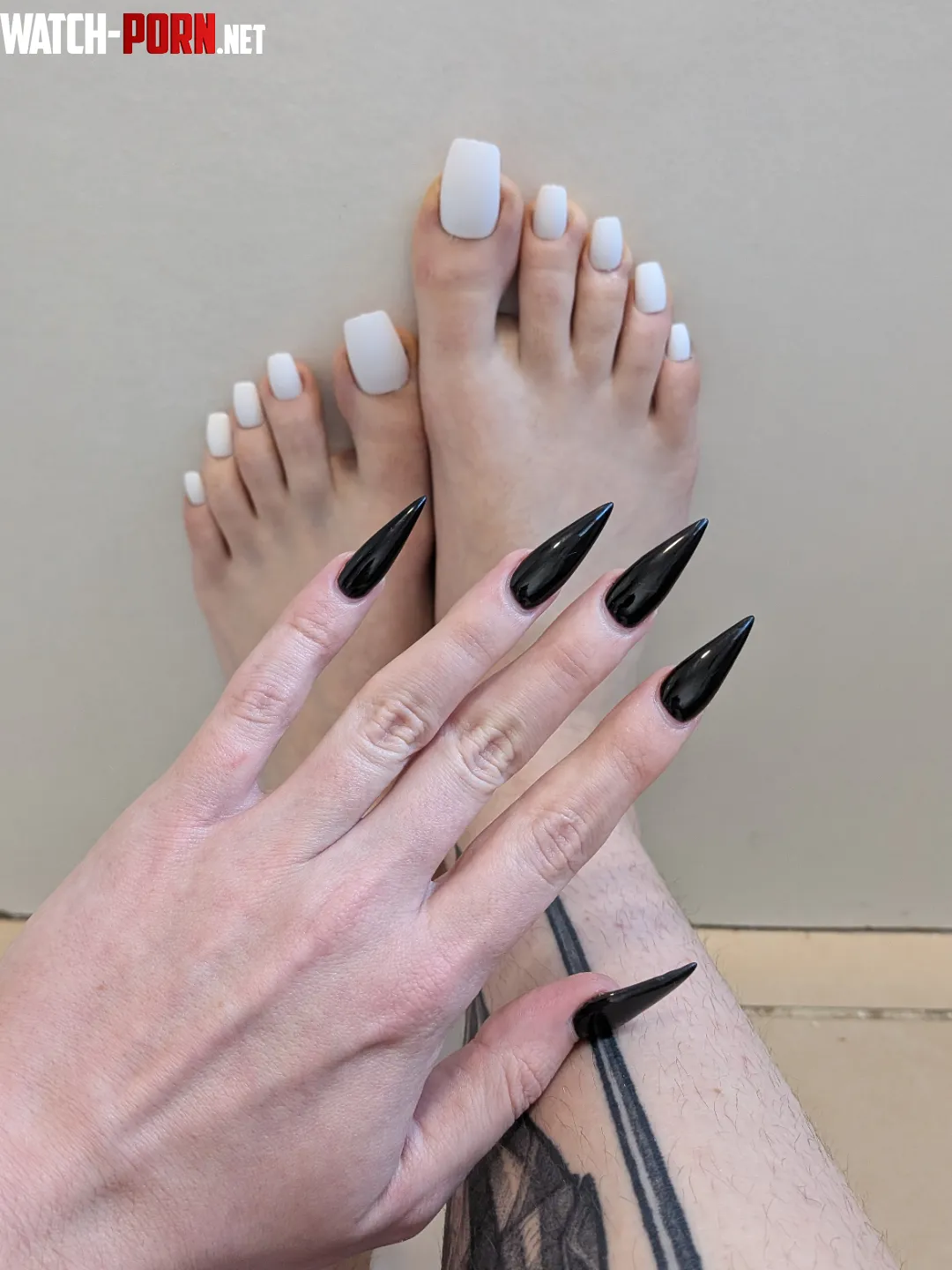 Black and white talons 🖤🤍 by Silver-Leather-462