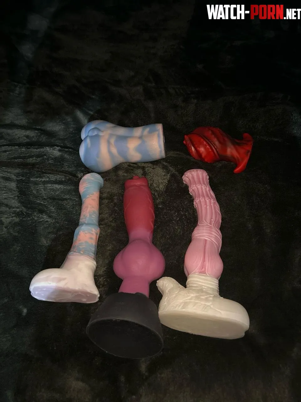 What do y’all think of my collection? by Mysterious_Job8068