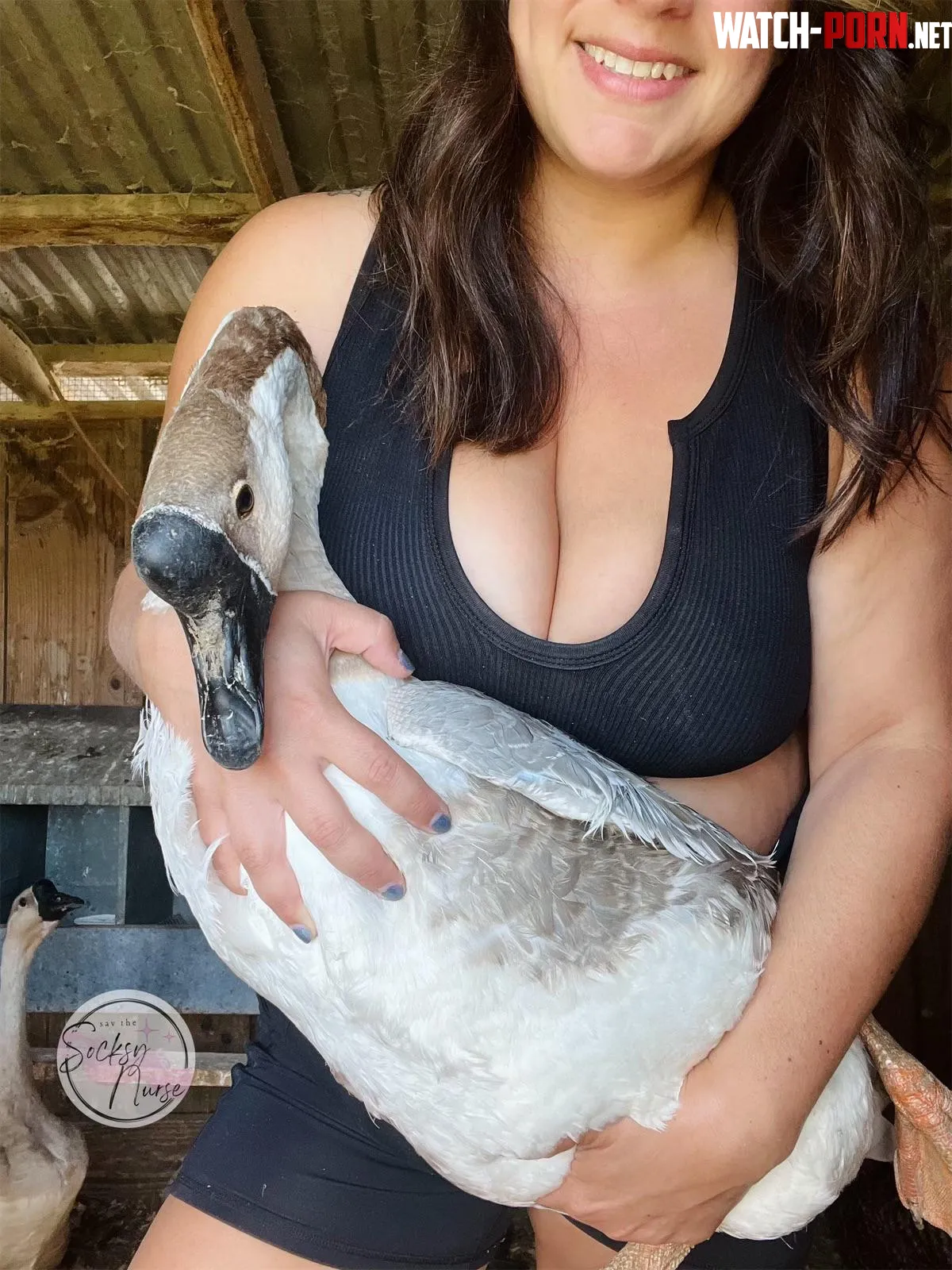 Silly goose by YoureSoSocksy