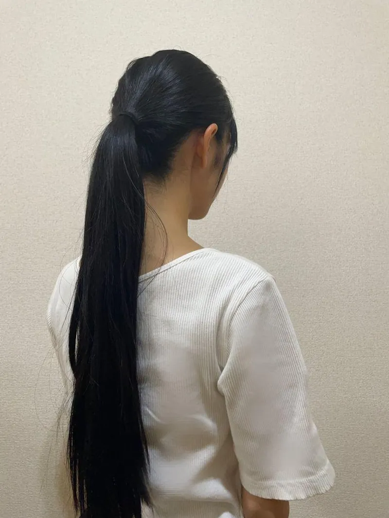 Thumbnail Smooth_Welcome_1779's Classic Ponytail Look | Ponytails
