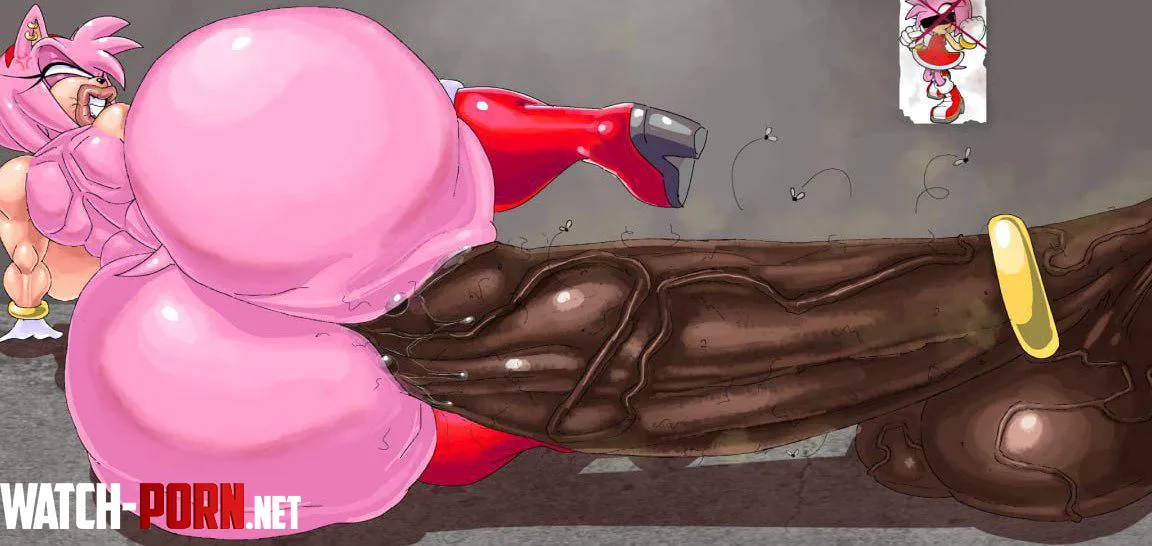 Amy Rose (blazecat6) [Sonic The Hedgehog] by StormyAndChicx