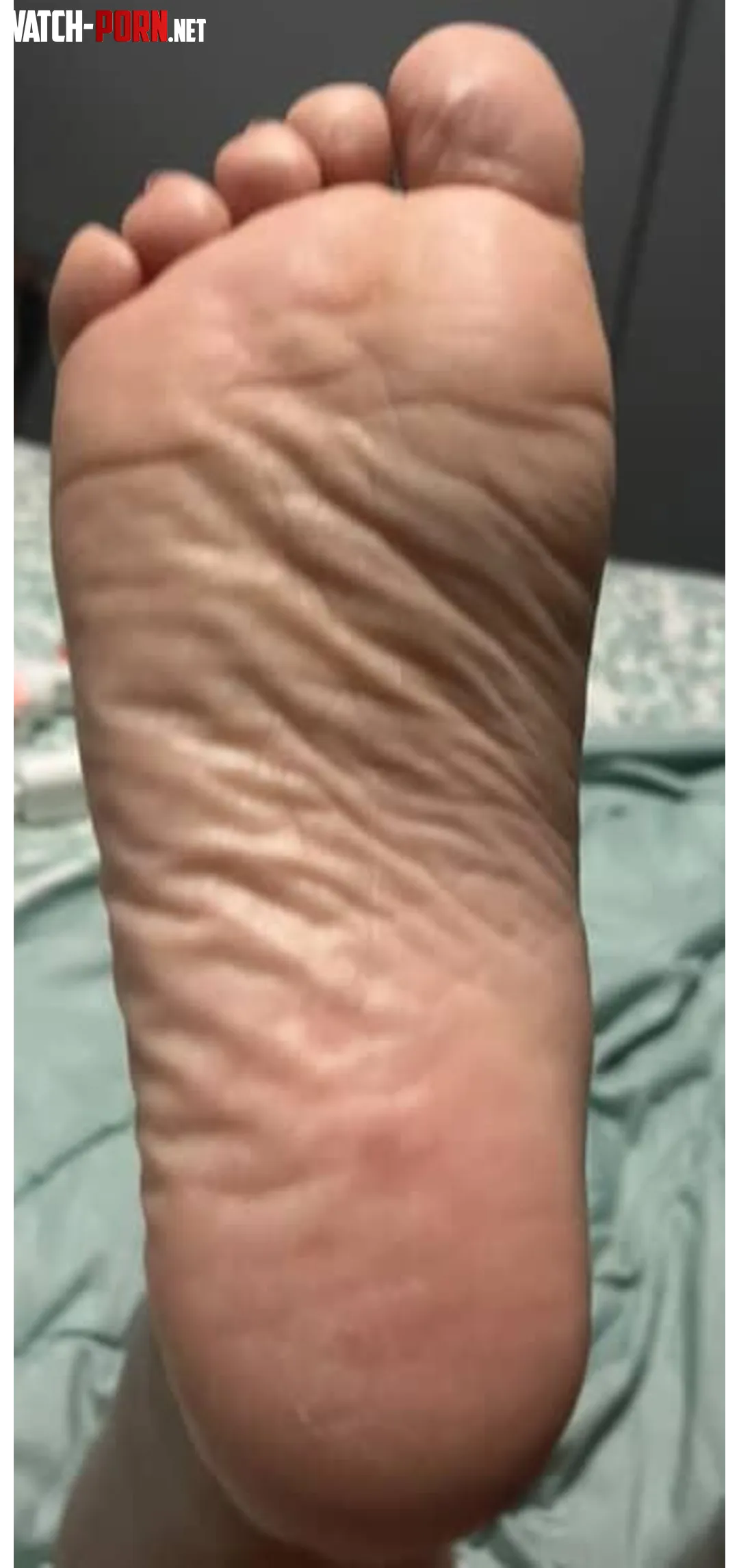 Congratulations! My wrinkly soles are out and You're on wrinkle counting duty. by arboldebolas