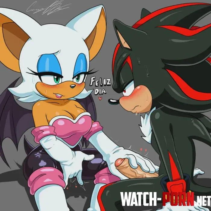 Art: [cuernosblancos] Rouge the Bat (F) Shadow the Hedgehog (M) by Minochu96