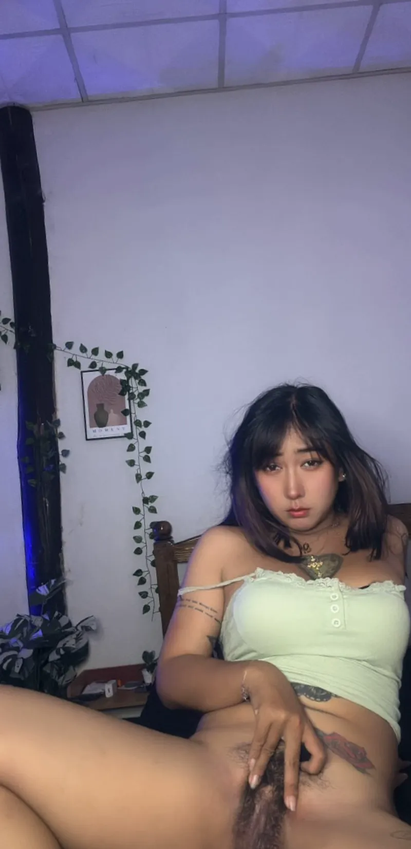 Thumbnail Softcloudd's Asian Bush: A Wild and Cute Beauty to Admire