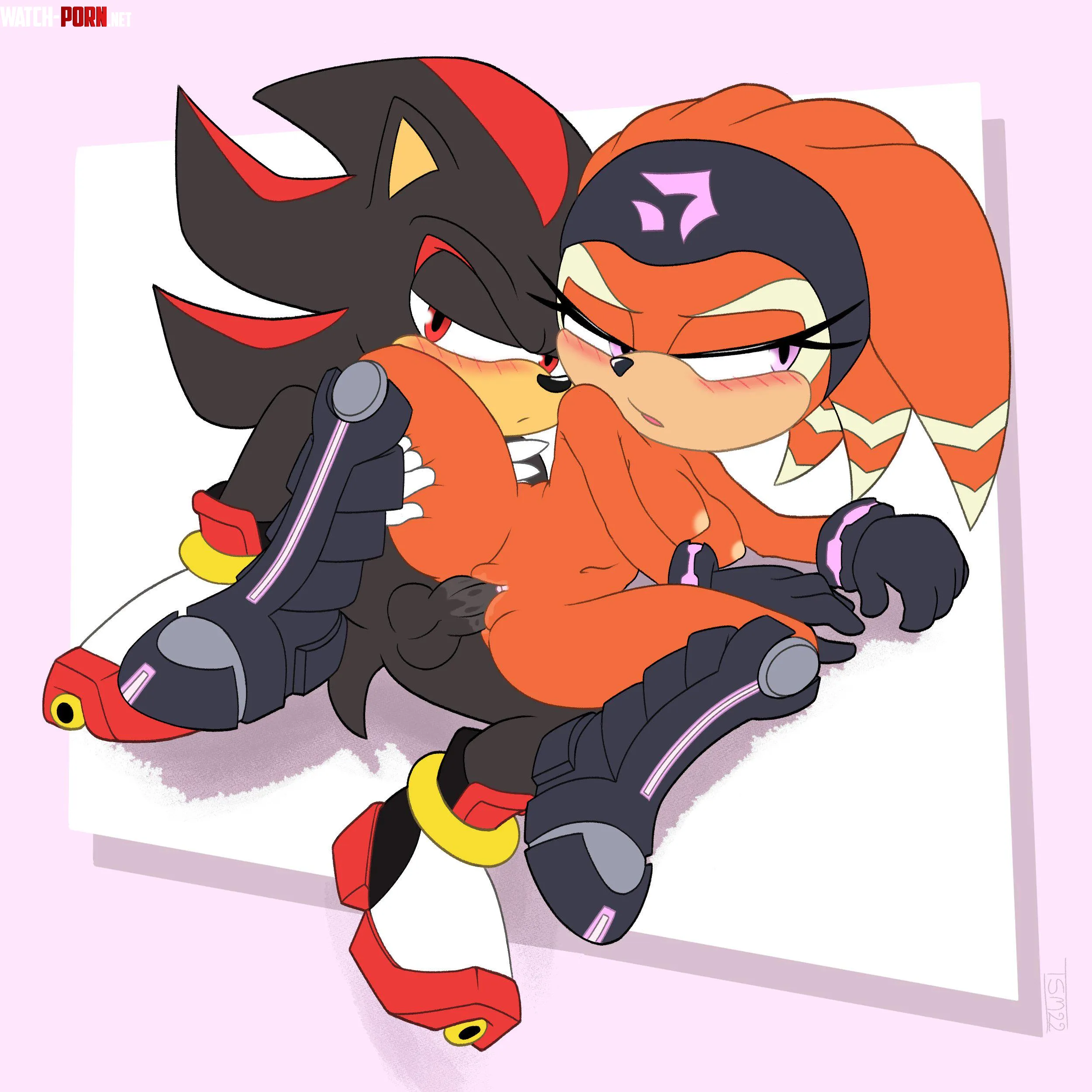 Artist [thesplashmaster] Shadow (M) Shade (F) by Minochu96