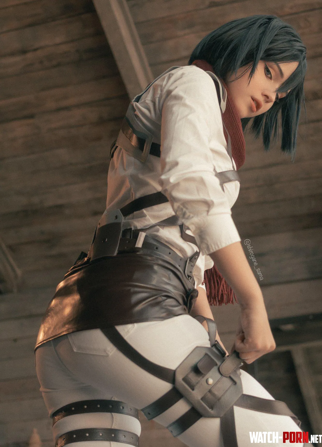 Mikasa (Shirogane-sama) [Attack On Titan] by Teal-Lotus