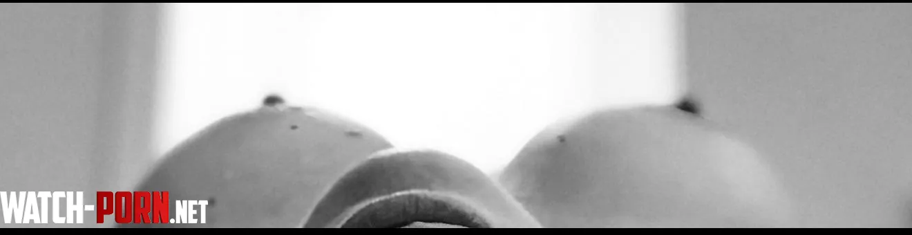 Hump day by BOURBONBOOKSANDYOU