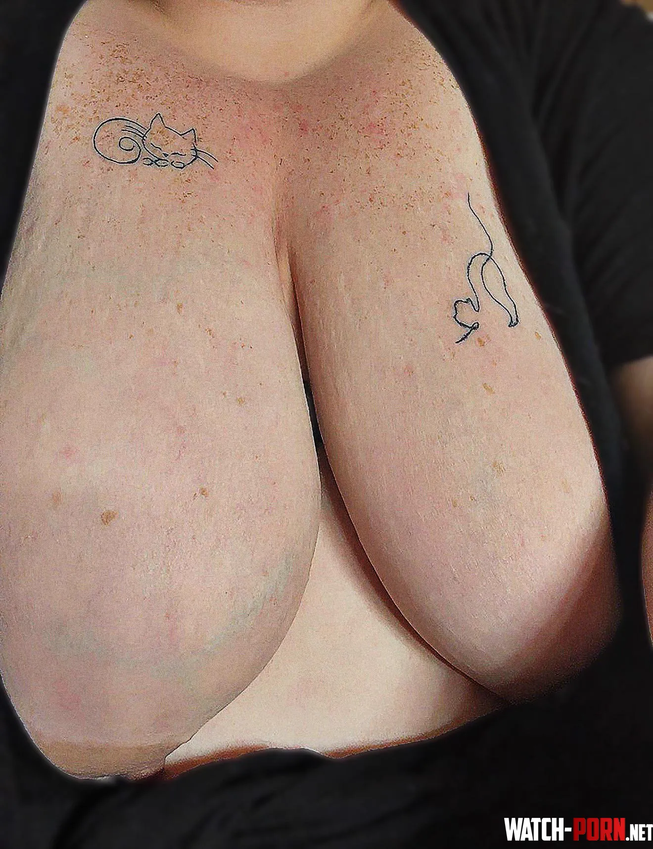 Fat Tits (titty kitties) by nicethrowawaymaam