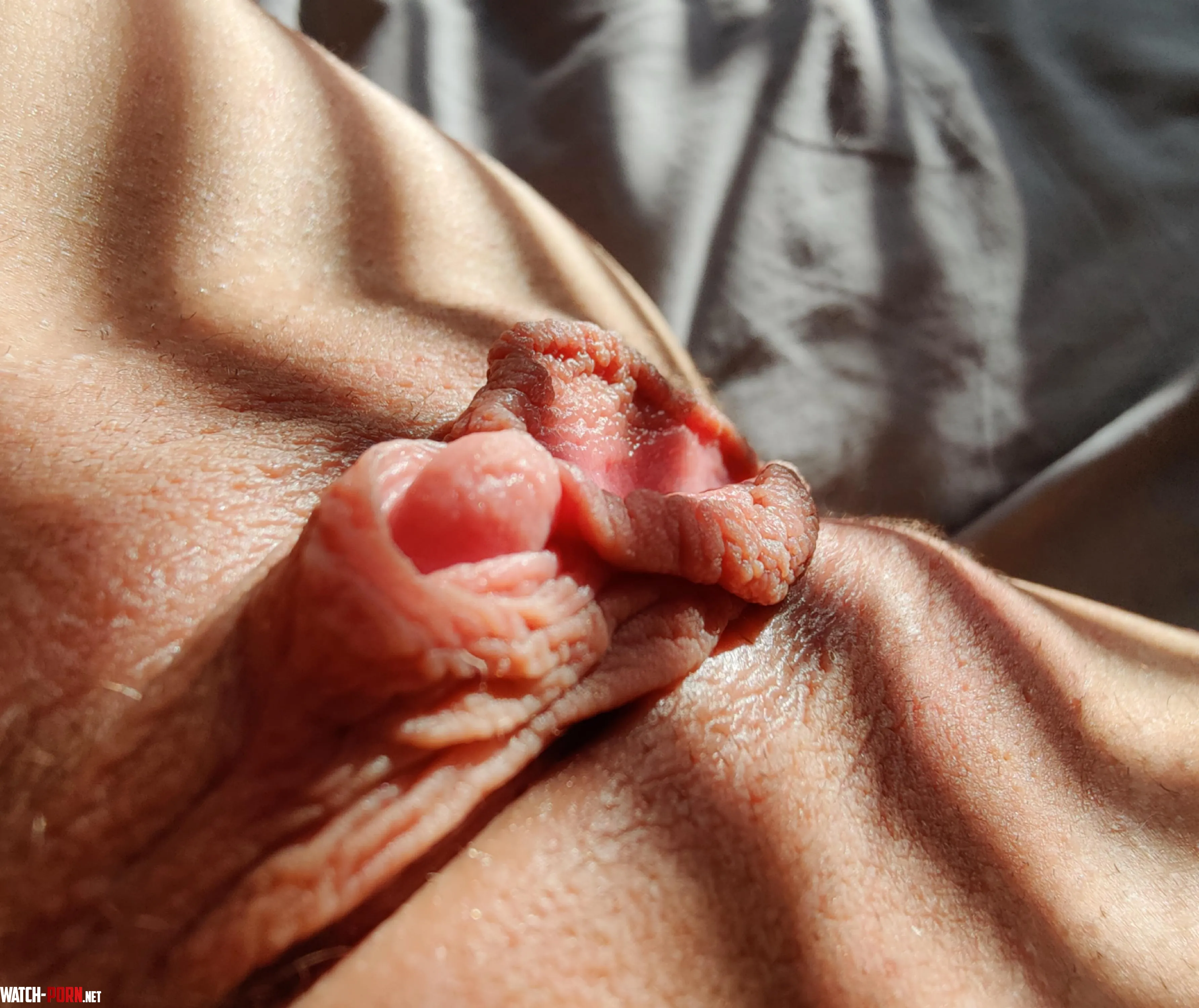 Would you suck my clit? by Consistent-Home-986