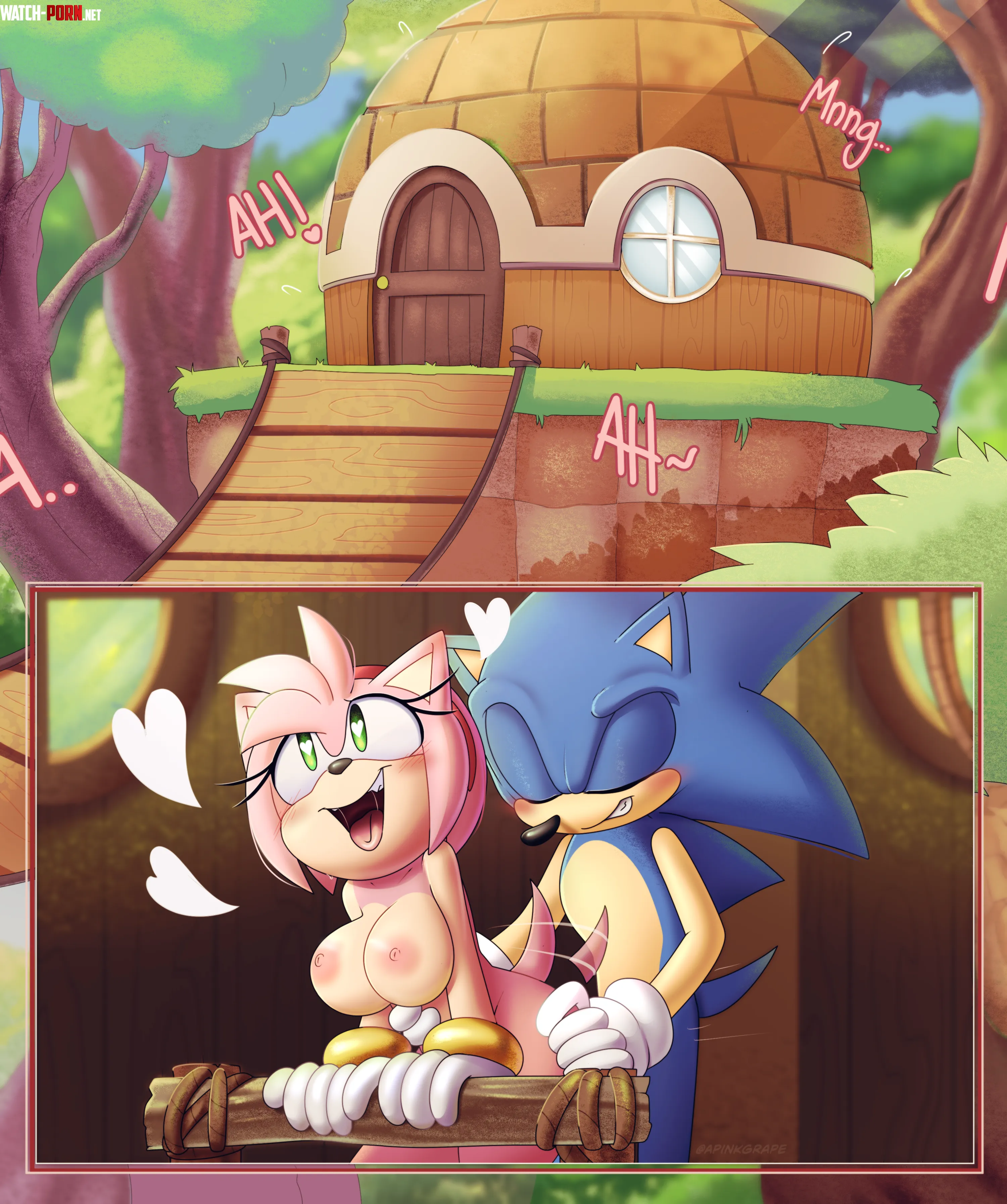 Sonic makes Amy's dreams come true [APinkGrape] by CalloftheWild69