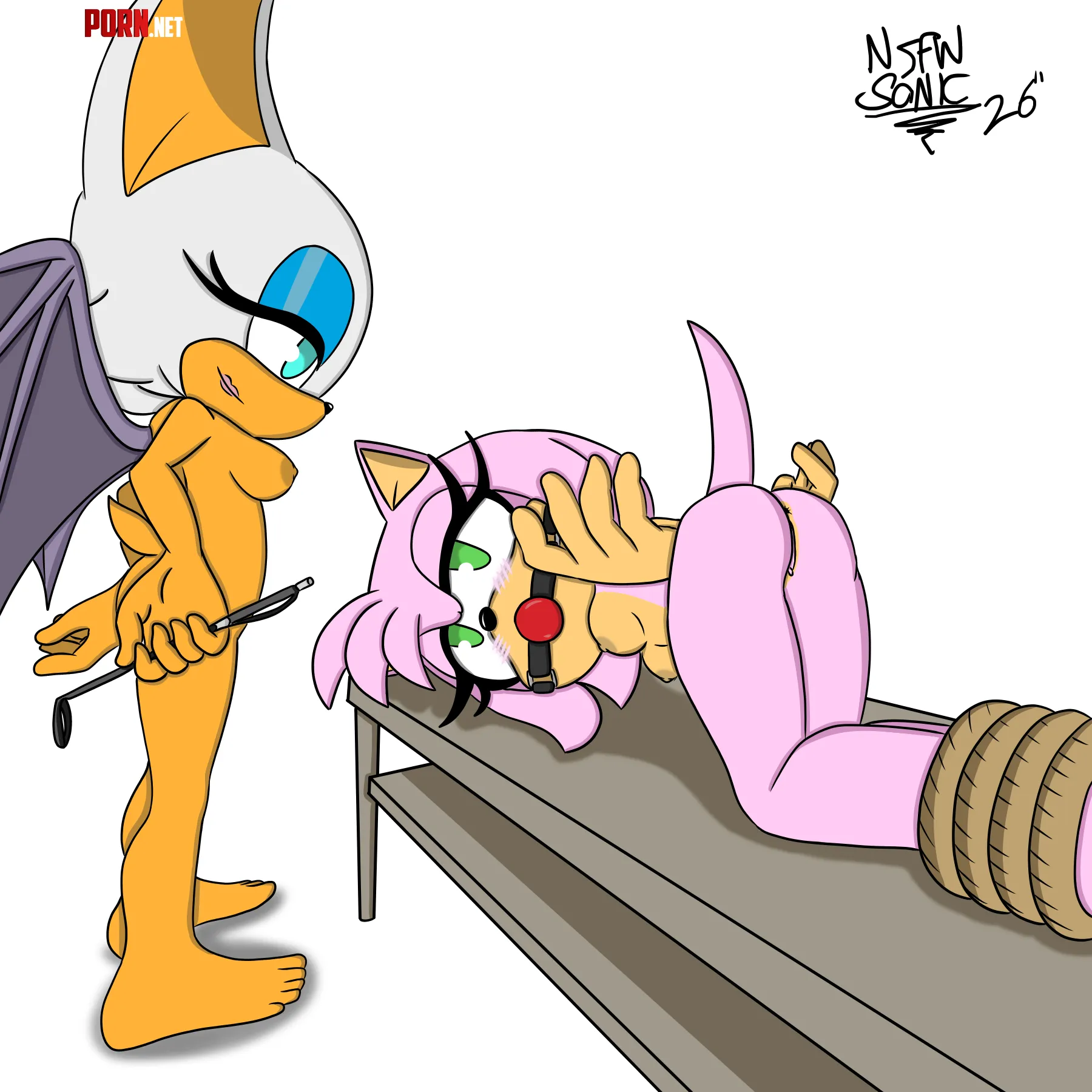 Rouge the Bat and Amy Rose being a little naughty (artist: me) by nsfw_sonic_art