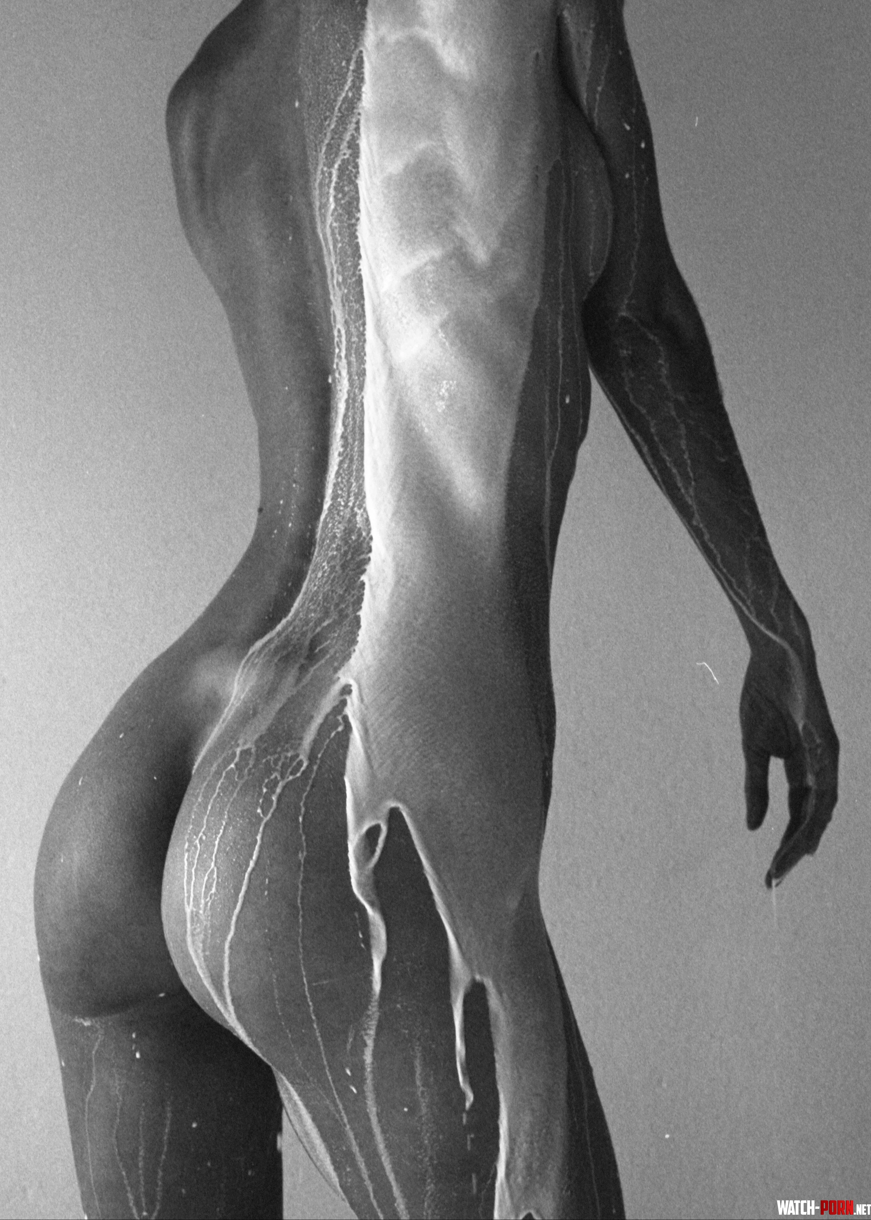 Linartica by Linartica