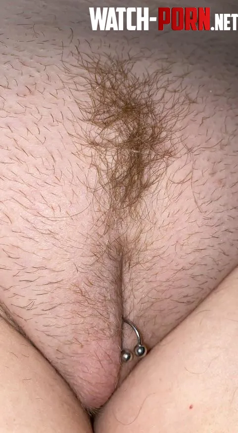 Foxy is back by Zrzecka