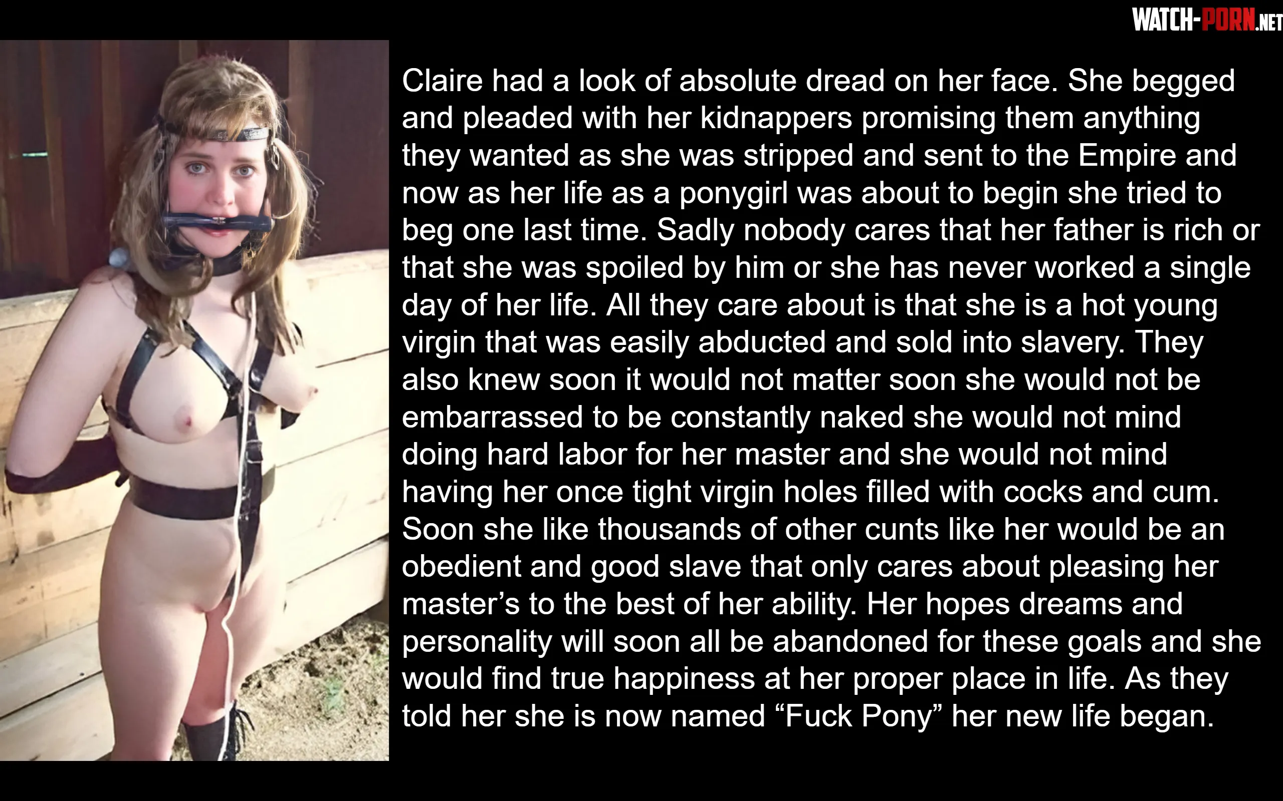 A Ponygirl's Fate by Petgirl1212