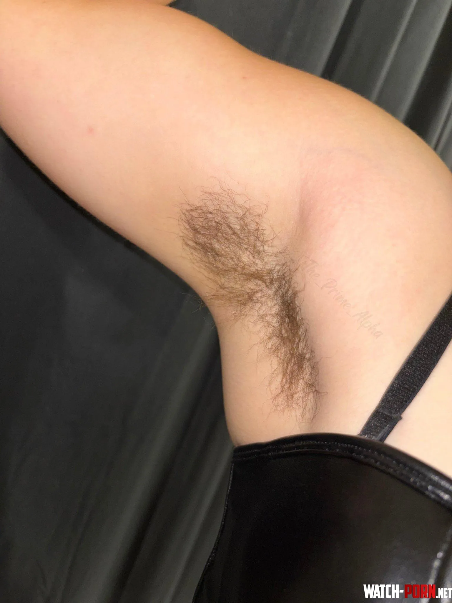 Inhale, exhale, inhale by The_Prime_AIpha