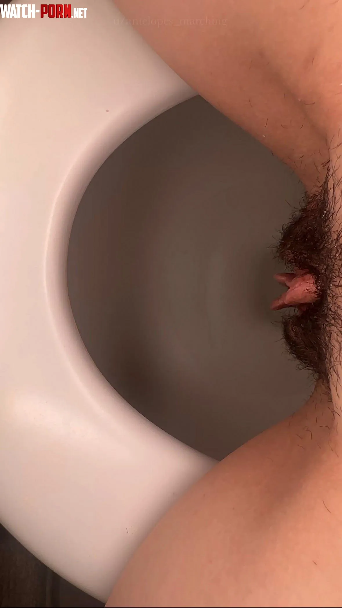 My POV by antelopes_marching