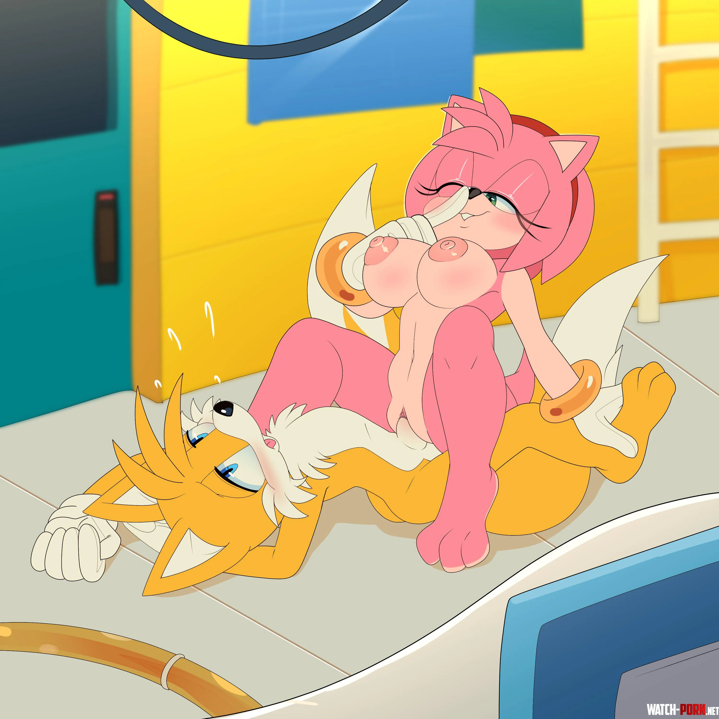 Amy gets a sneaky ride from Tails [APinkGrape] by CalloftheWild69