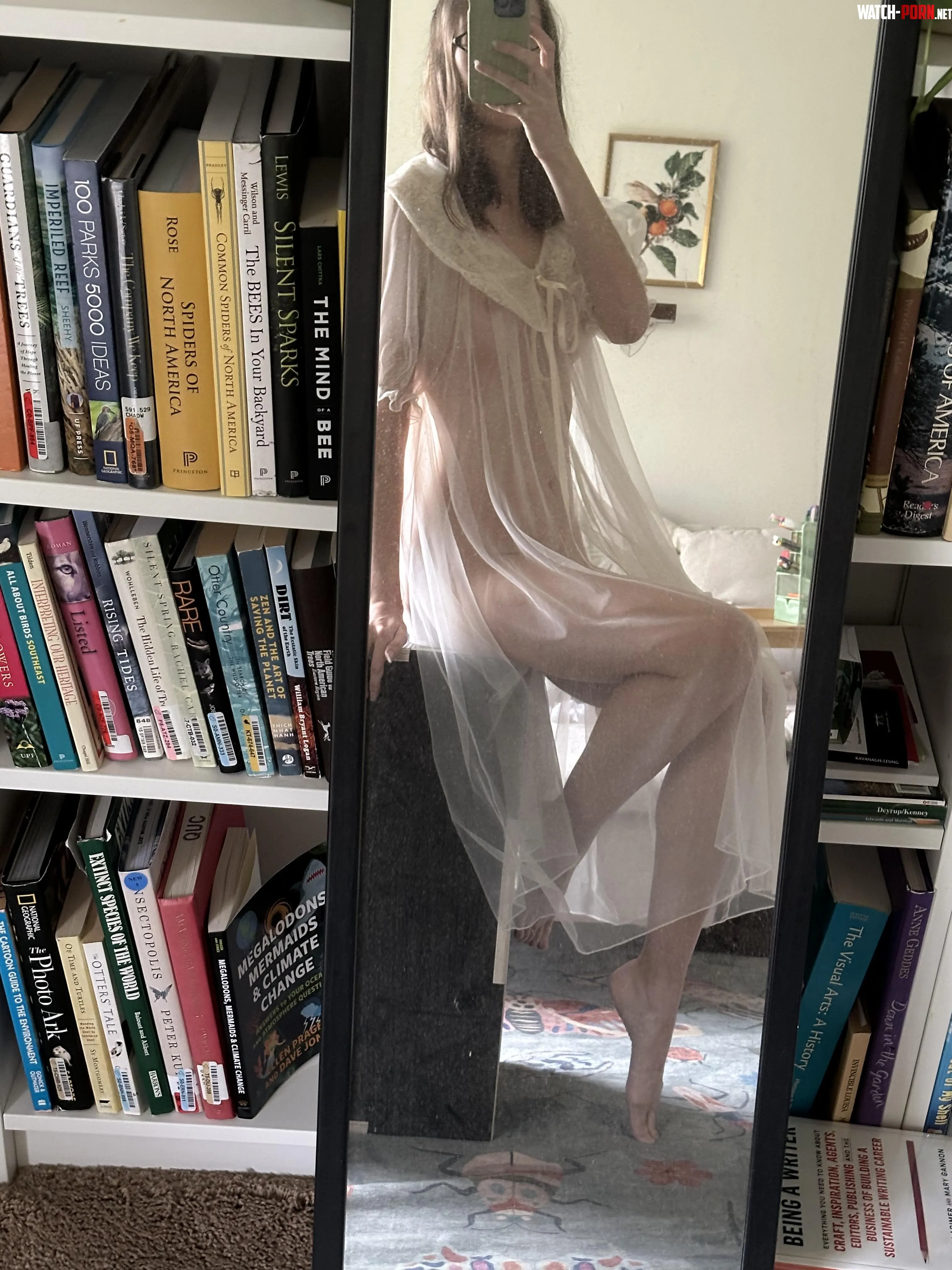I found this sheer robe at an antique store and can't wait to do a full photoshoot with it by duchess_satine_OF