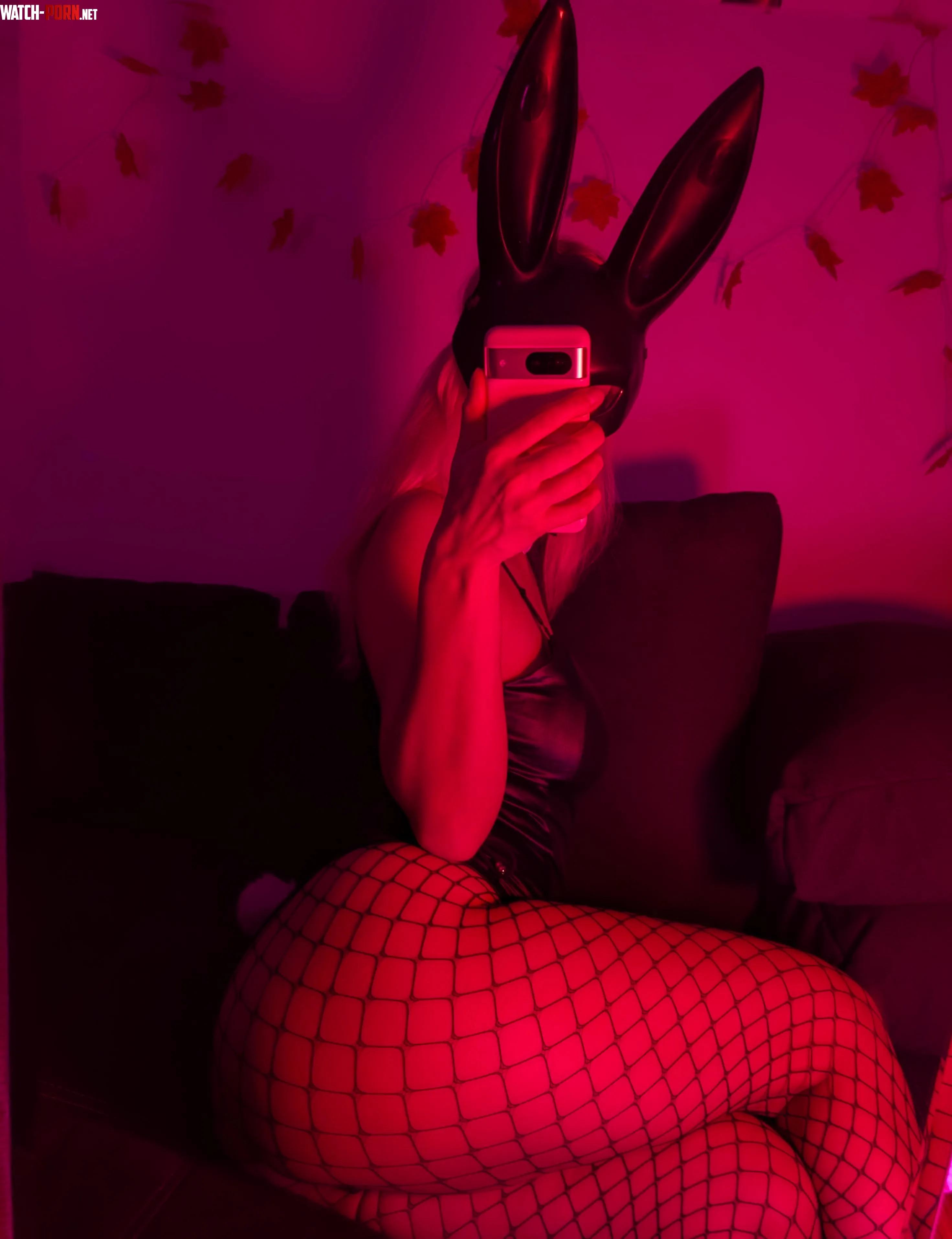 Bunny gf material by WorldlyResolution623