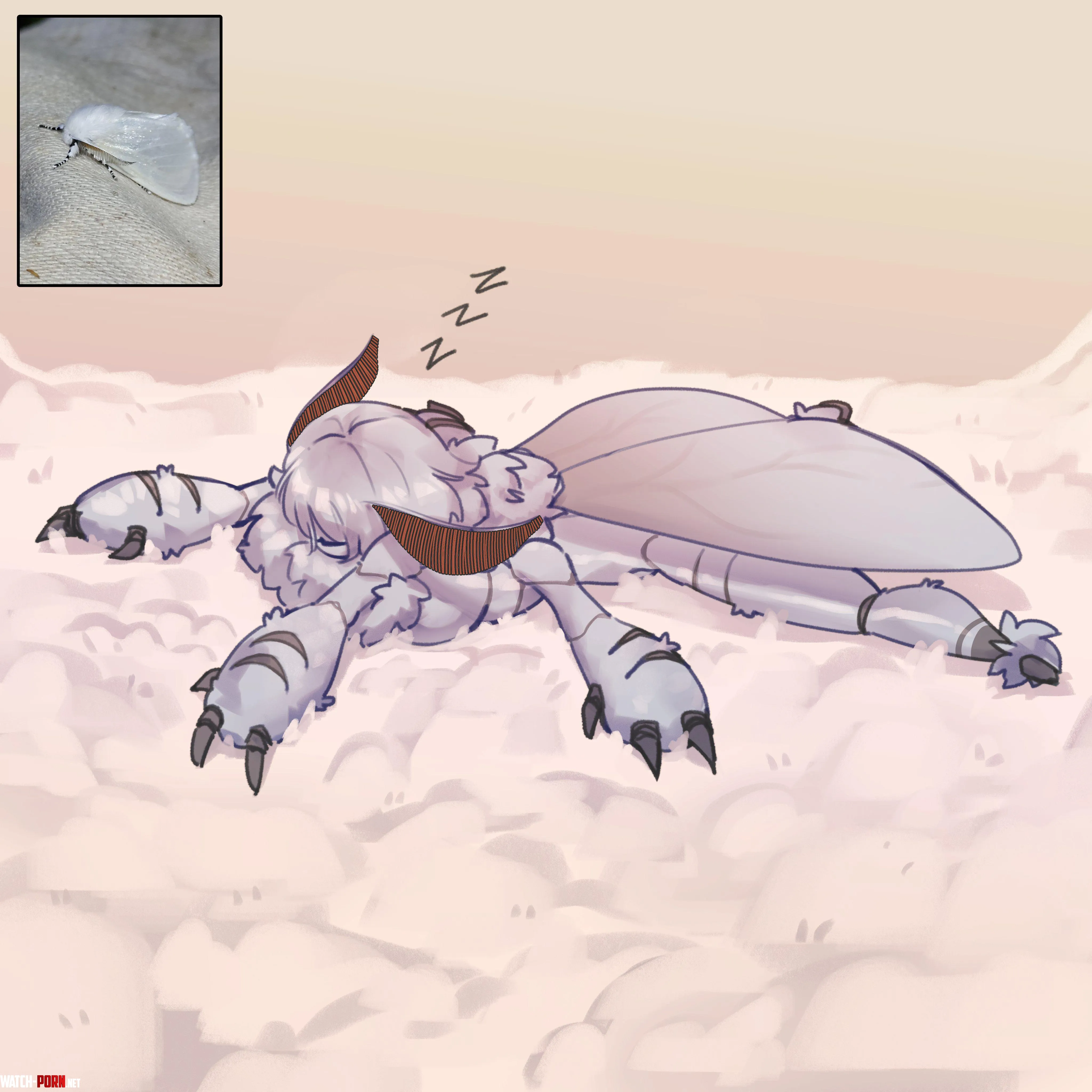 Sleepy Moth (Warl Granada) by A_MASSIVE_PERVERT