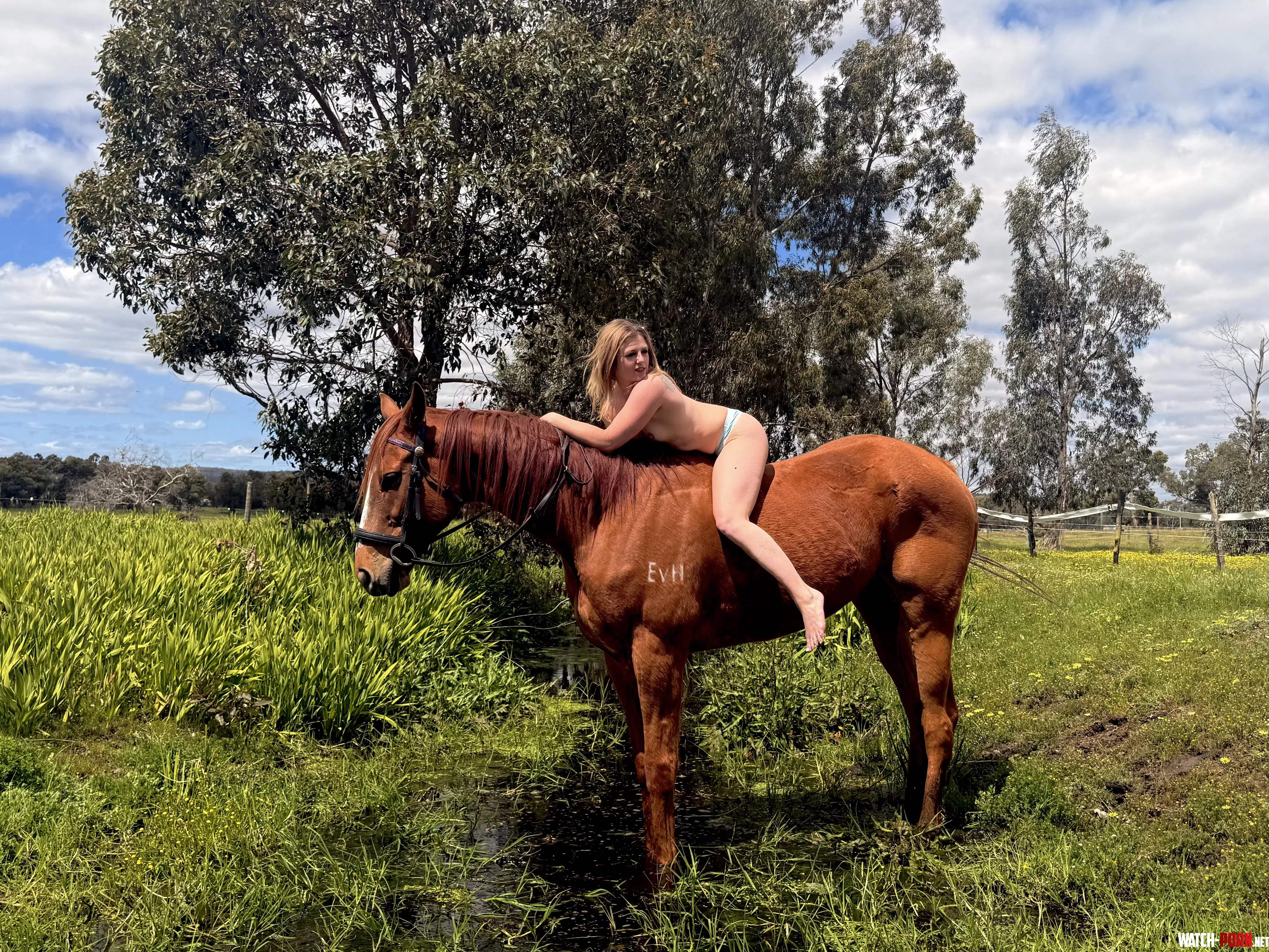 A girl just needs a trusty steed by lilmissloveable93