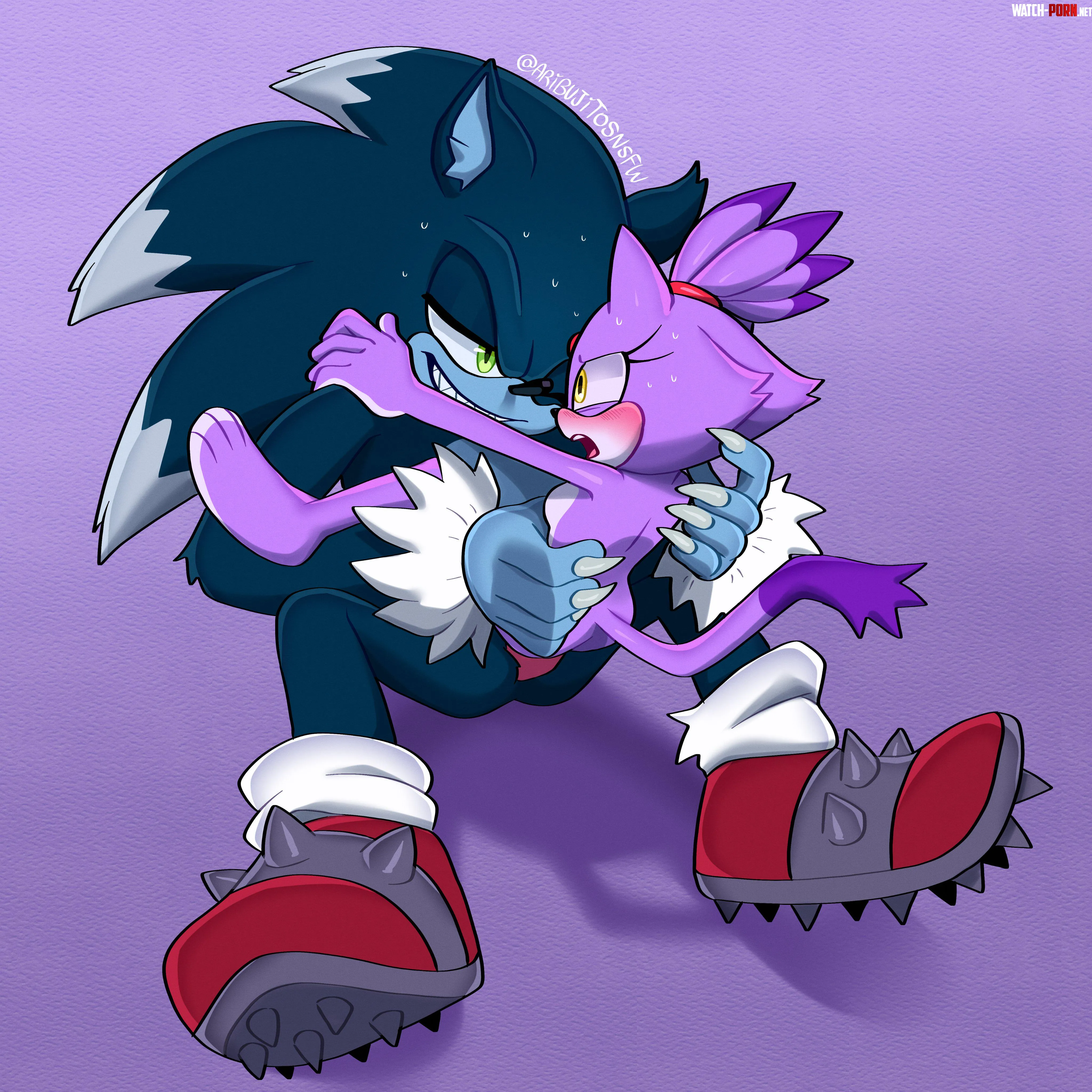 Blaze impaled on the werehog's werecock [Aribujitos] by CalloftheWild69