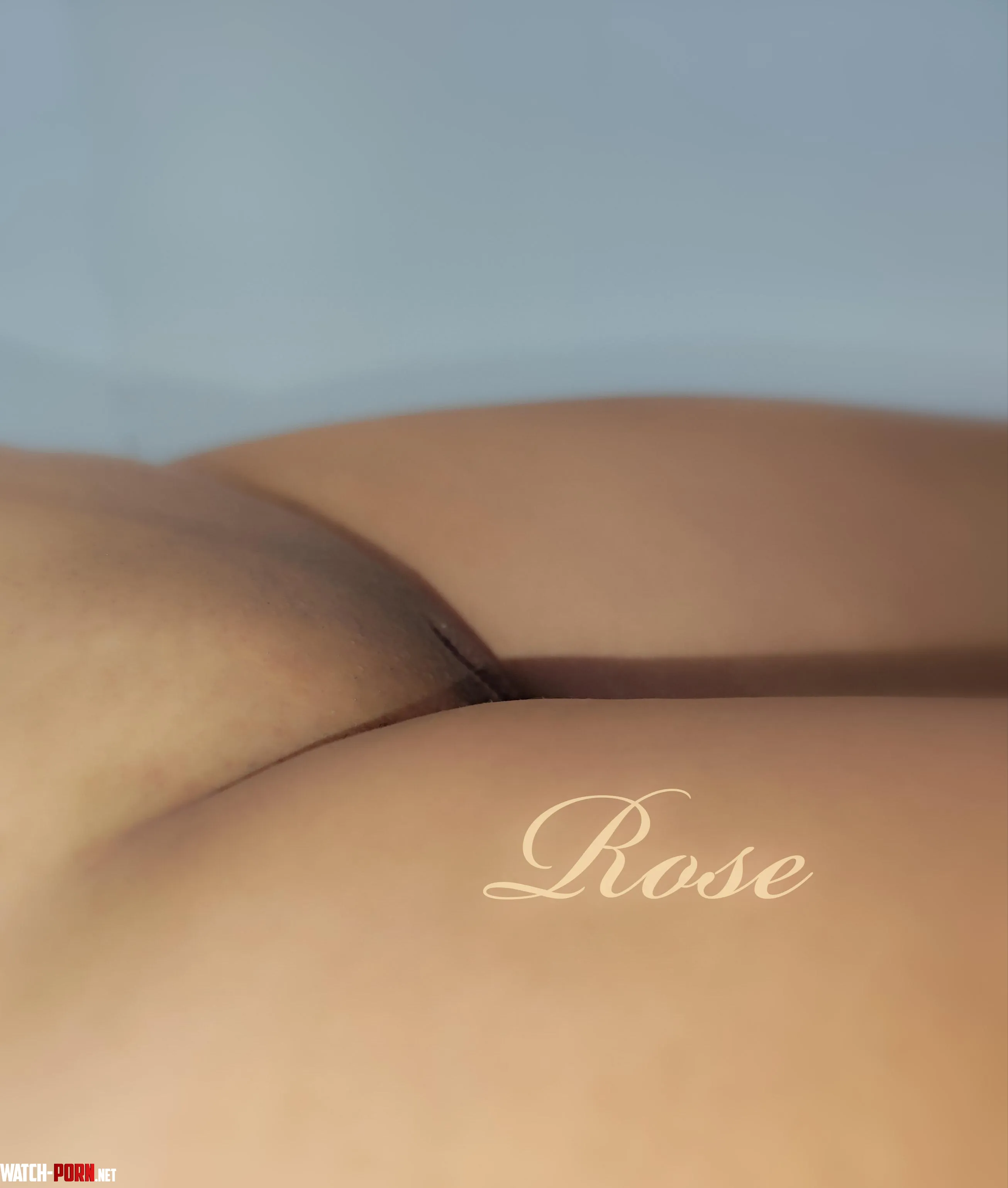 So close by Free_Rose_