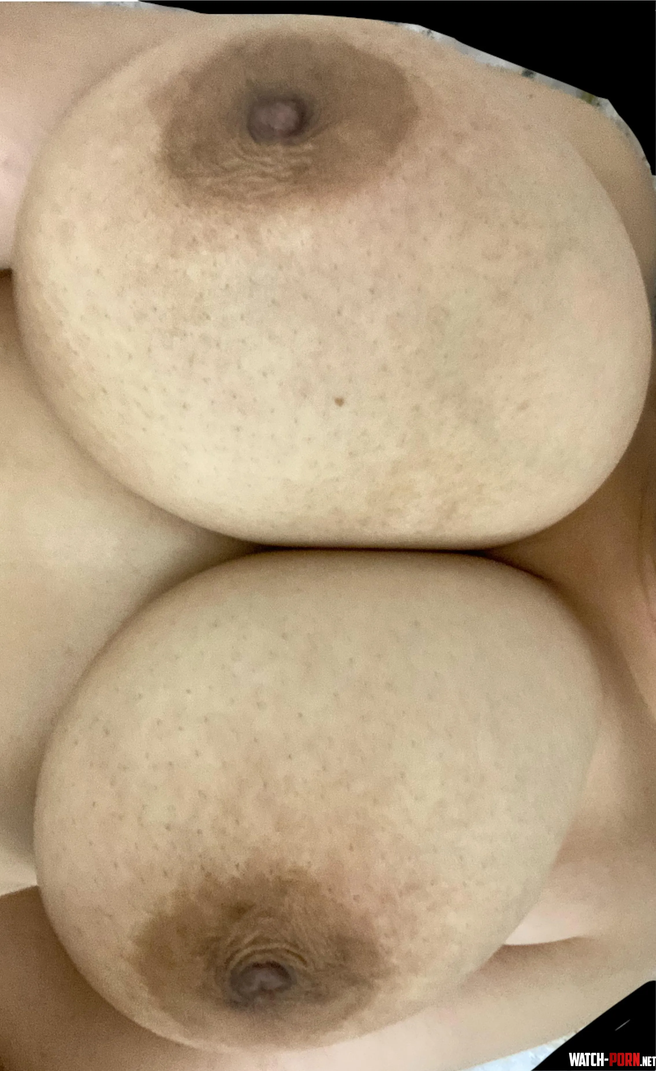 Pillows for you snuggle your face into by Timely-Studio8799