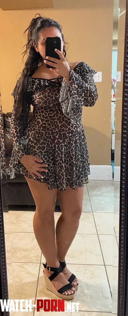 Nueva licenseria by catgirltits