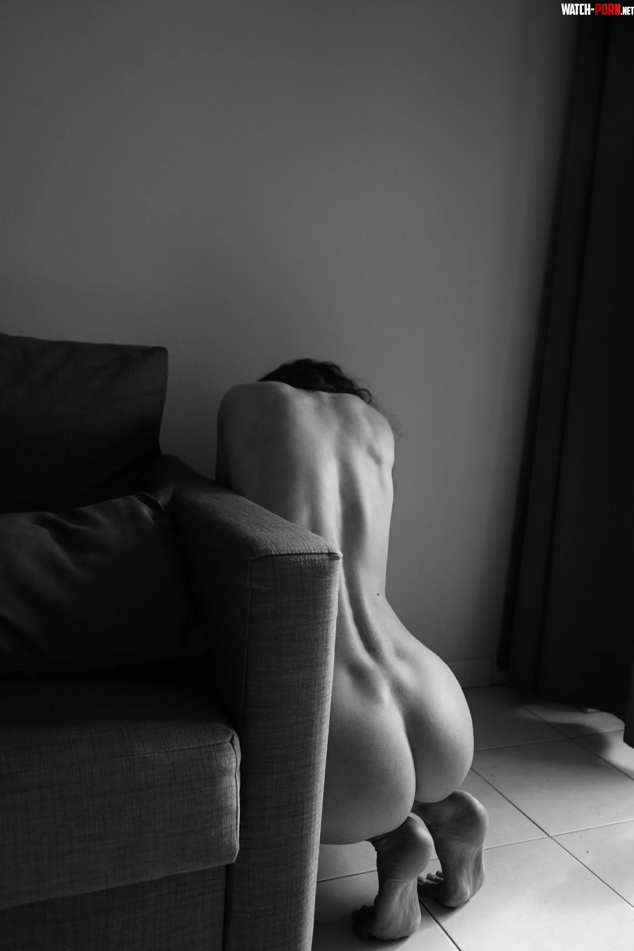 Linartica by Linartica