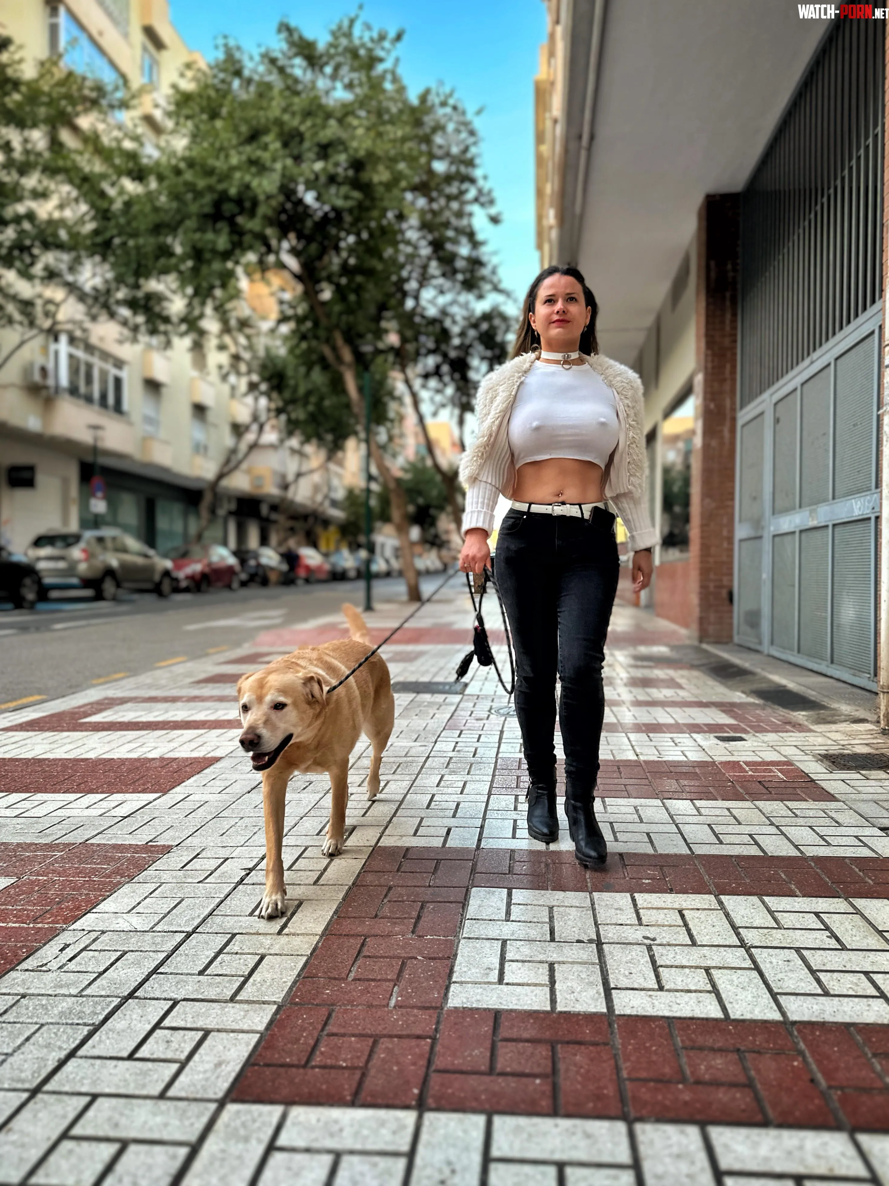 Walking my dog by FreelyKaty_xx