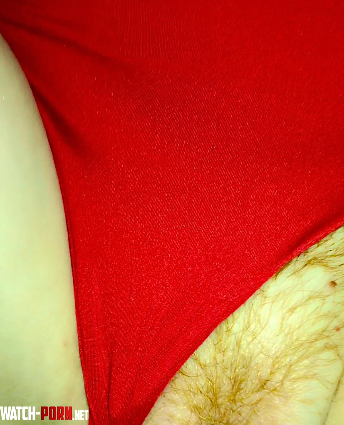 Just growing a little🔥 bush by Hungry-cherry-