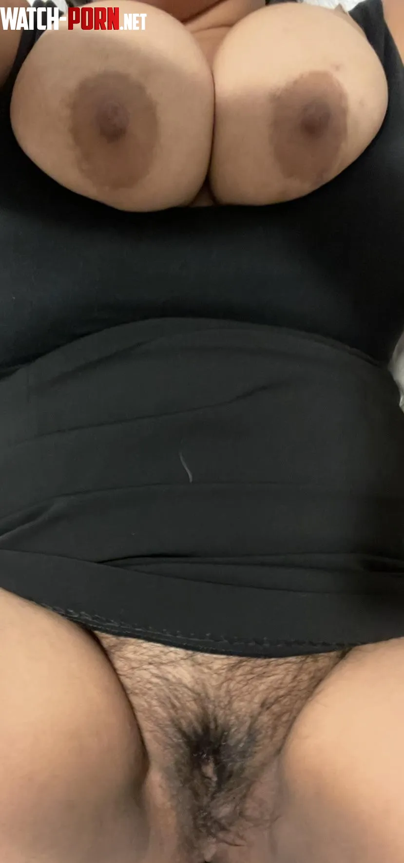 need a good cream pie ;) by bigtoaster6404