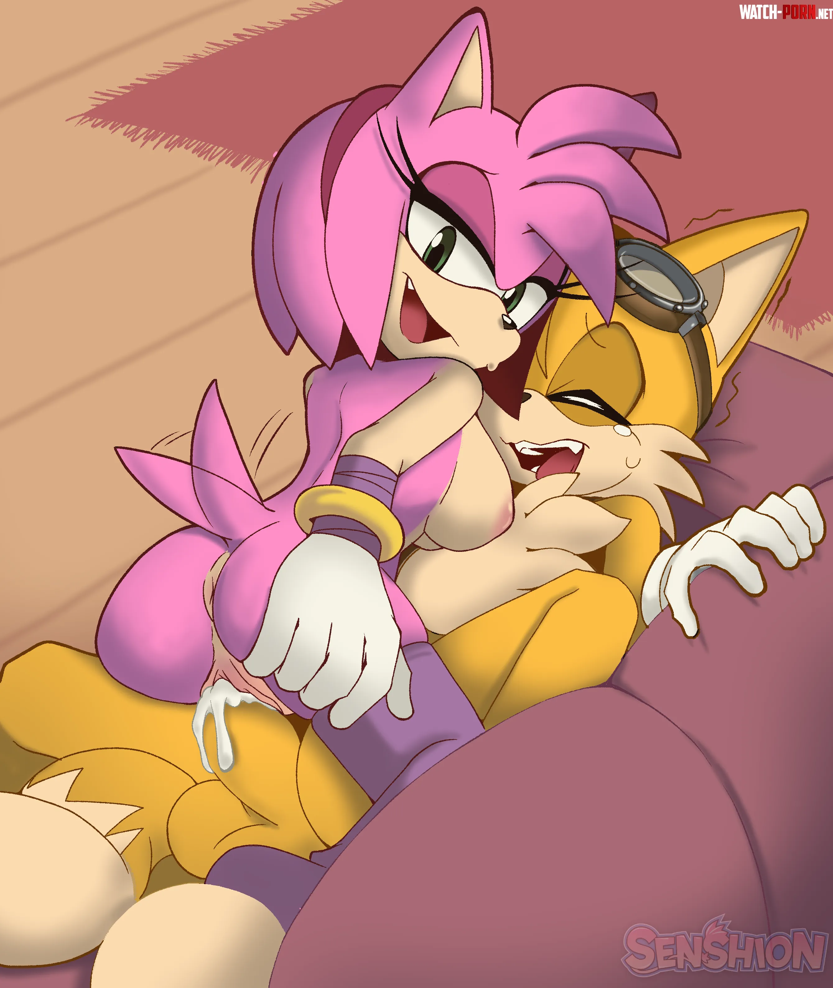 Amy gets filled up by Tails [Senshion] by CalloftheWild69