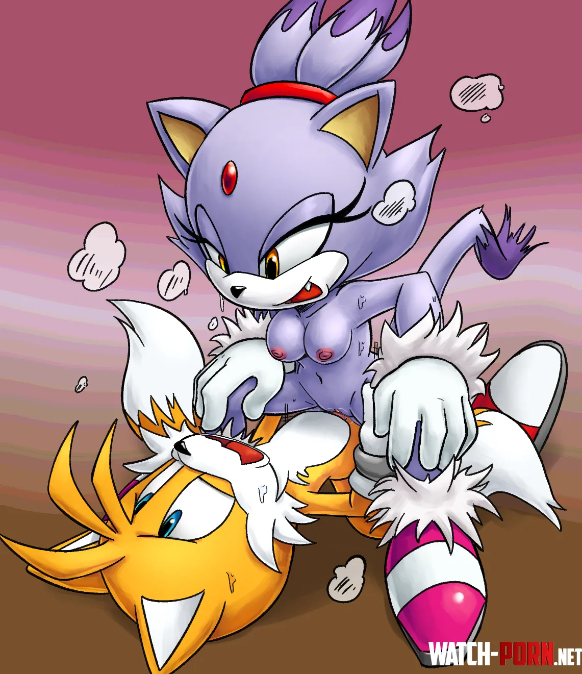 Blaze rides Tails until he's nearly passed out [NiNoEros] by CalloftheWild69